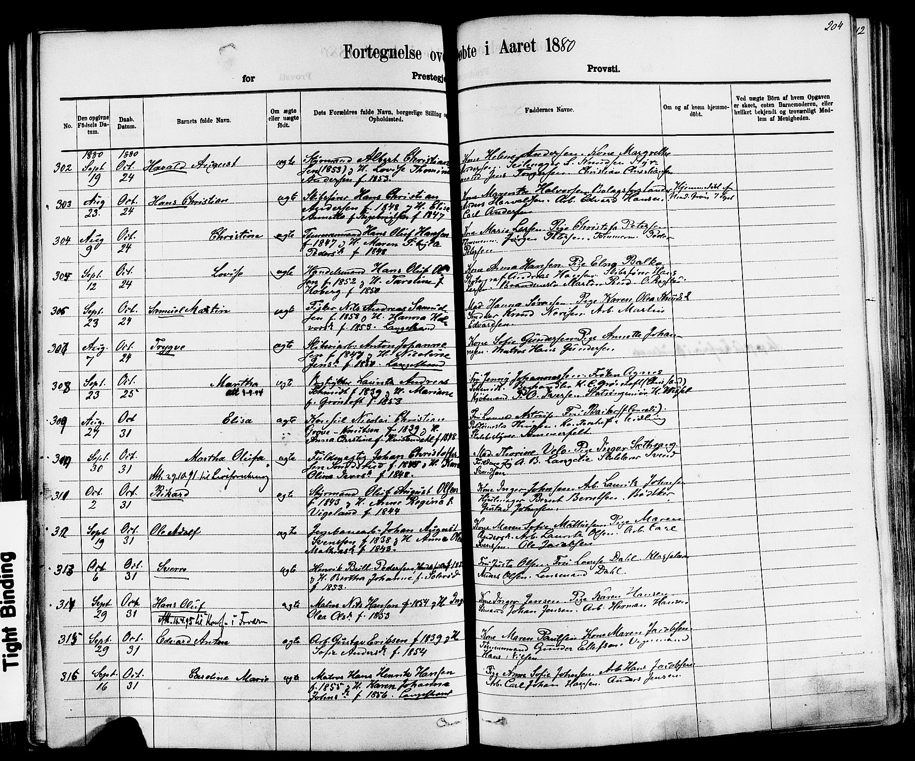 Larvik kirkebøker, AV/SAKO-A-352/F/Fa/L0006: Parish register (official) no. I 6, 1871-1883, p. 204