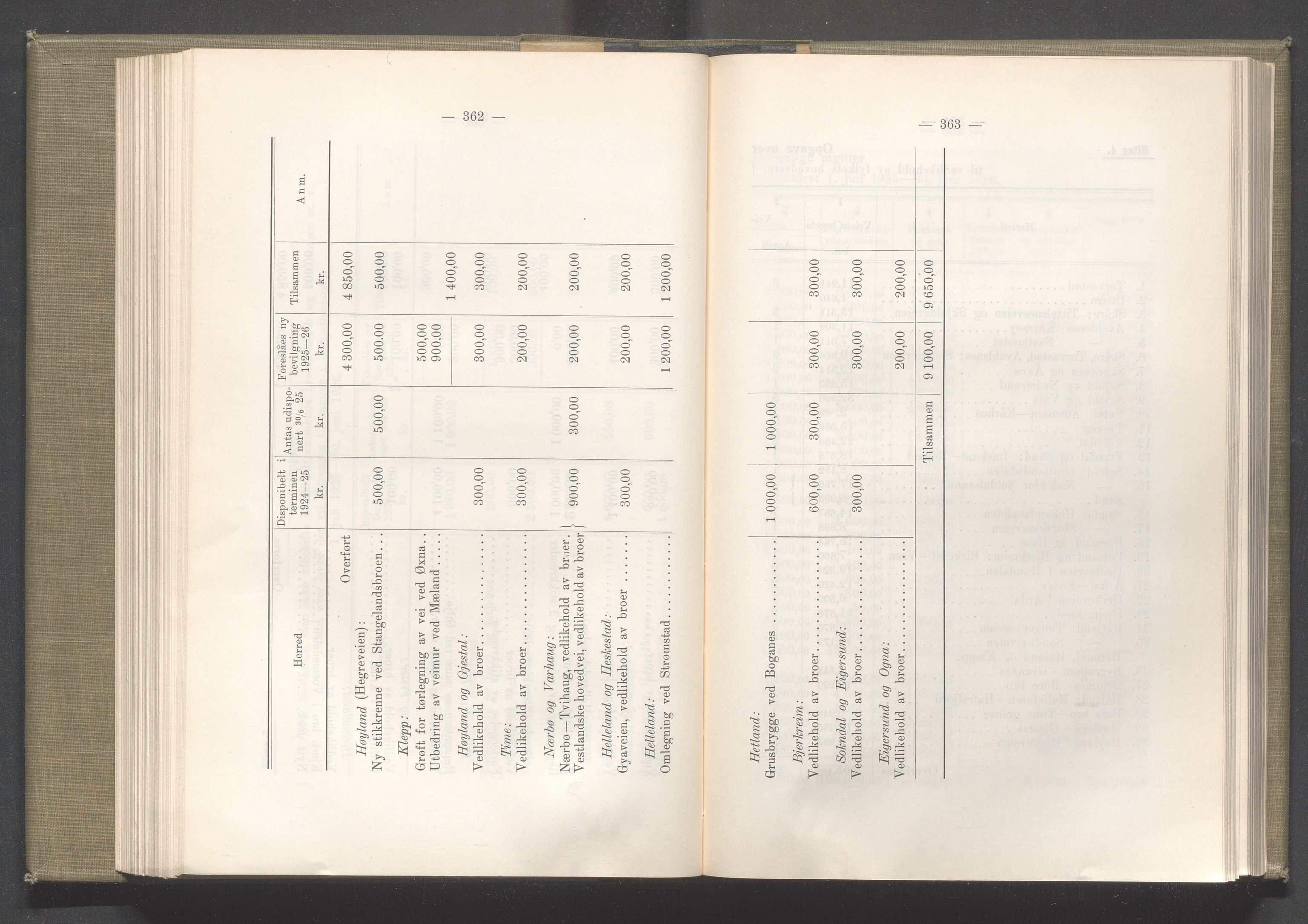 Rogaland fylkeskommune - Fylkesrådmannen , IKAR/A-900/A/Aa/Aaa/L0044: Møtebok , 1925, p. 362-363