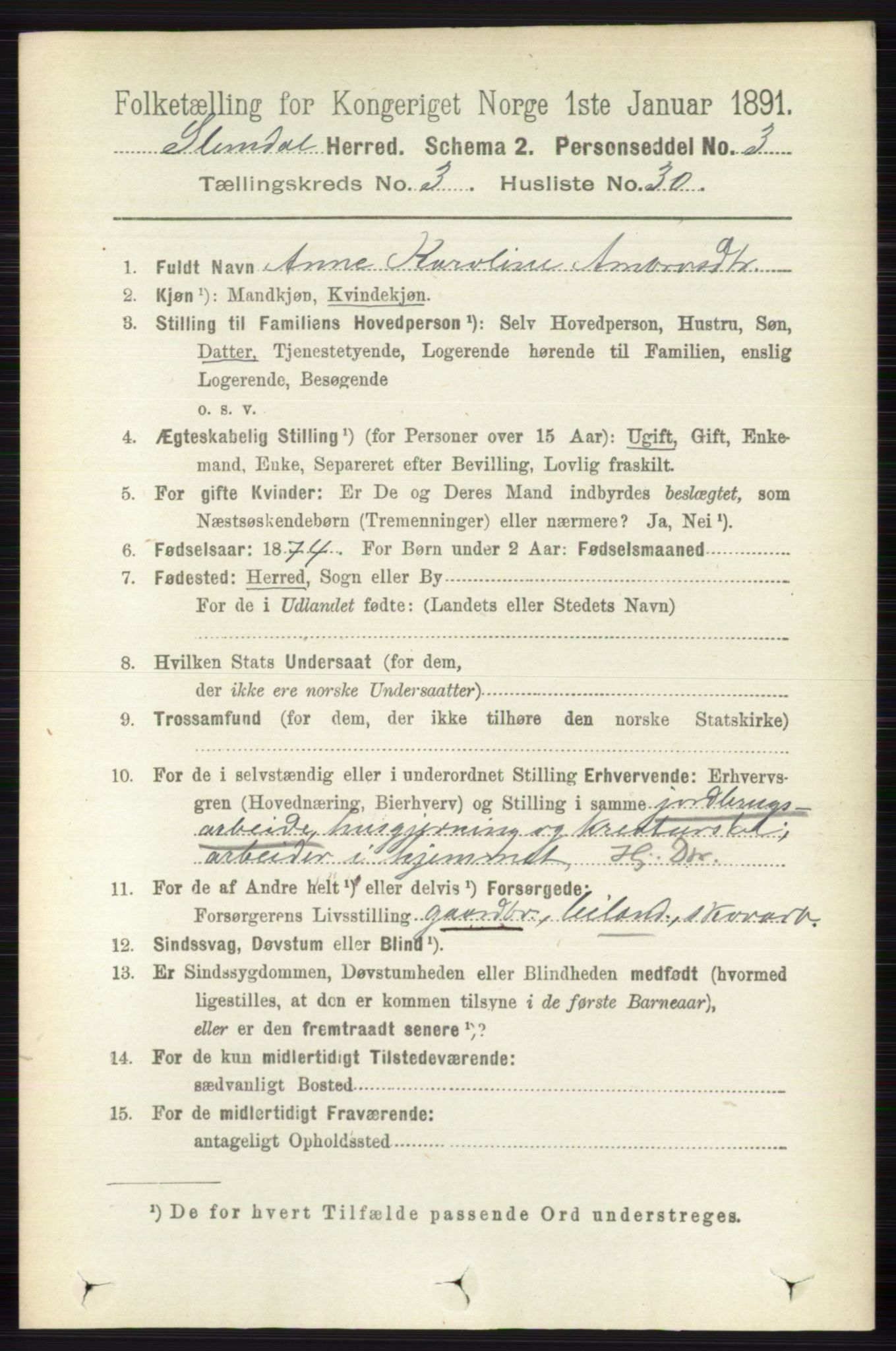 RA, 1891 census for 0811 Slemdal, 1891, p. 945