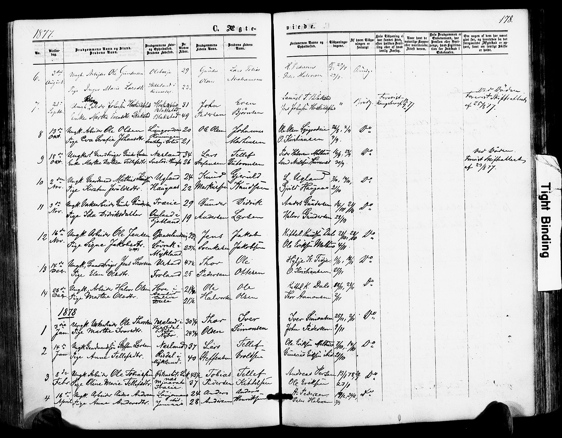 Froland sokneprestkontor, SAK/1111-0013/F/Fa/L0003: Parish register (official) no. A 3, 1864-1881, p. 178