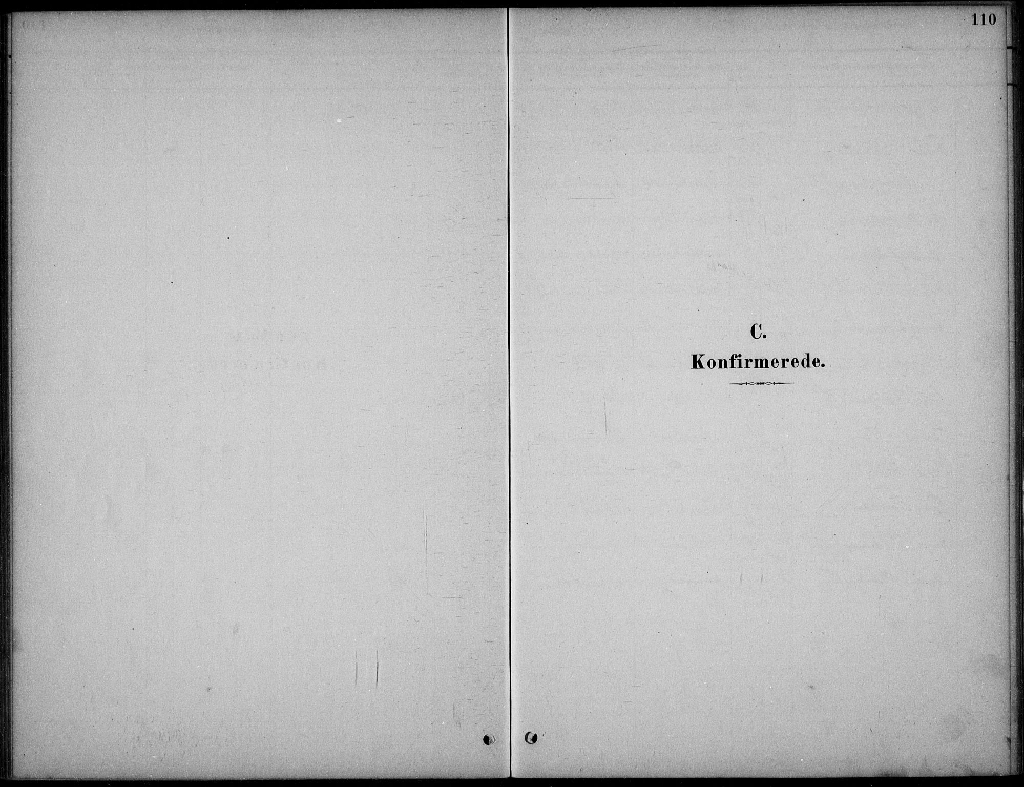 Hjartdal kirkebøker, SAKO/A-270/F/Fc/L0002: Parish register (official) no. III 2, 1880-1936, p. 110