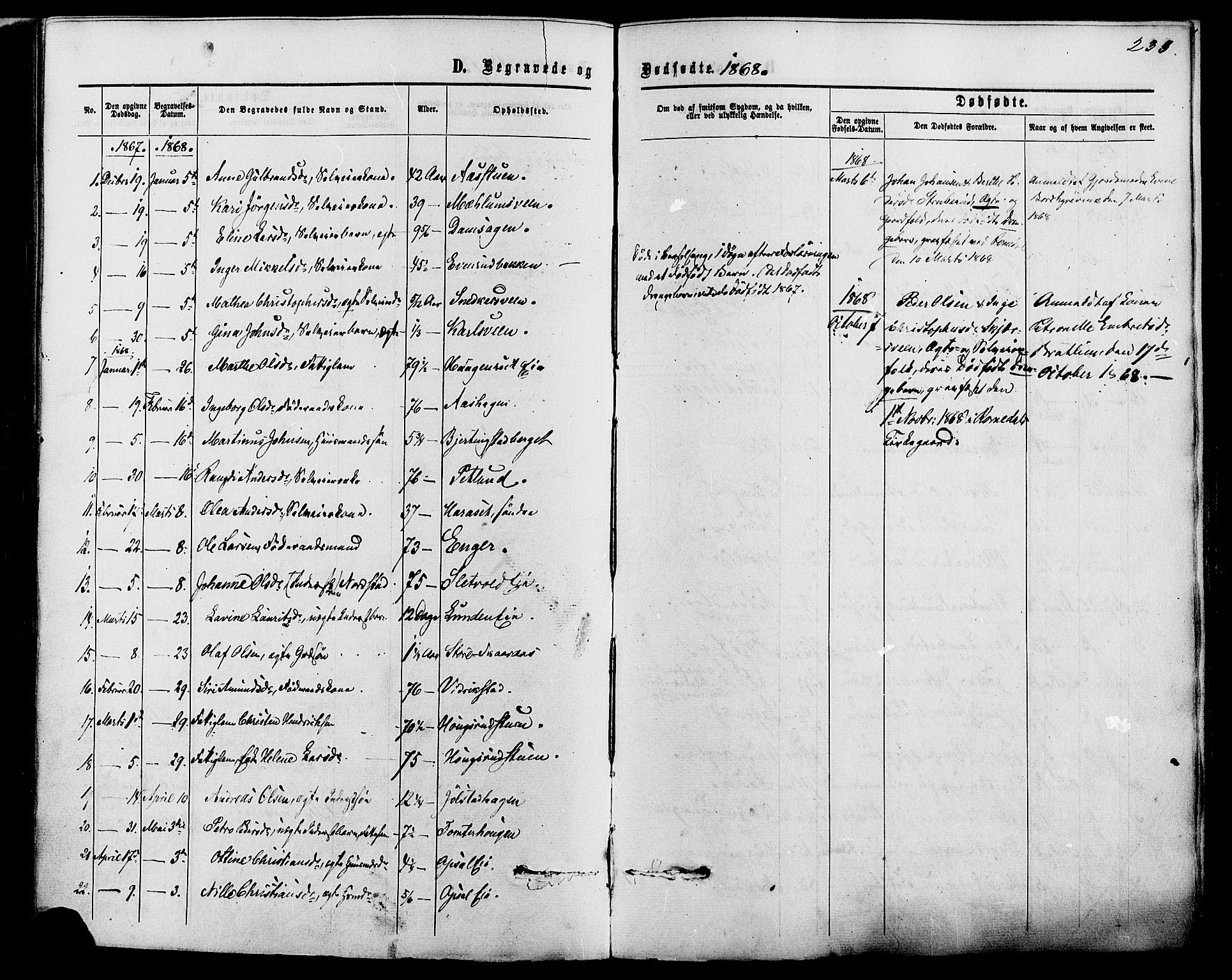 Romedal prestekontor, SAH/PREST-004/K/L0006: Parish register (official) no. 6, 1866-1886, p. 233