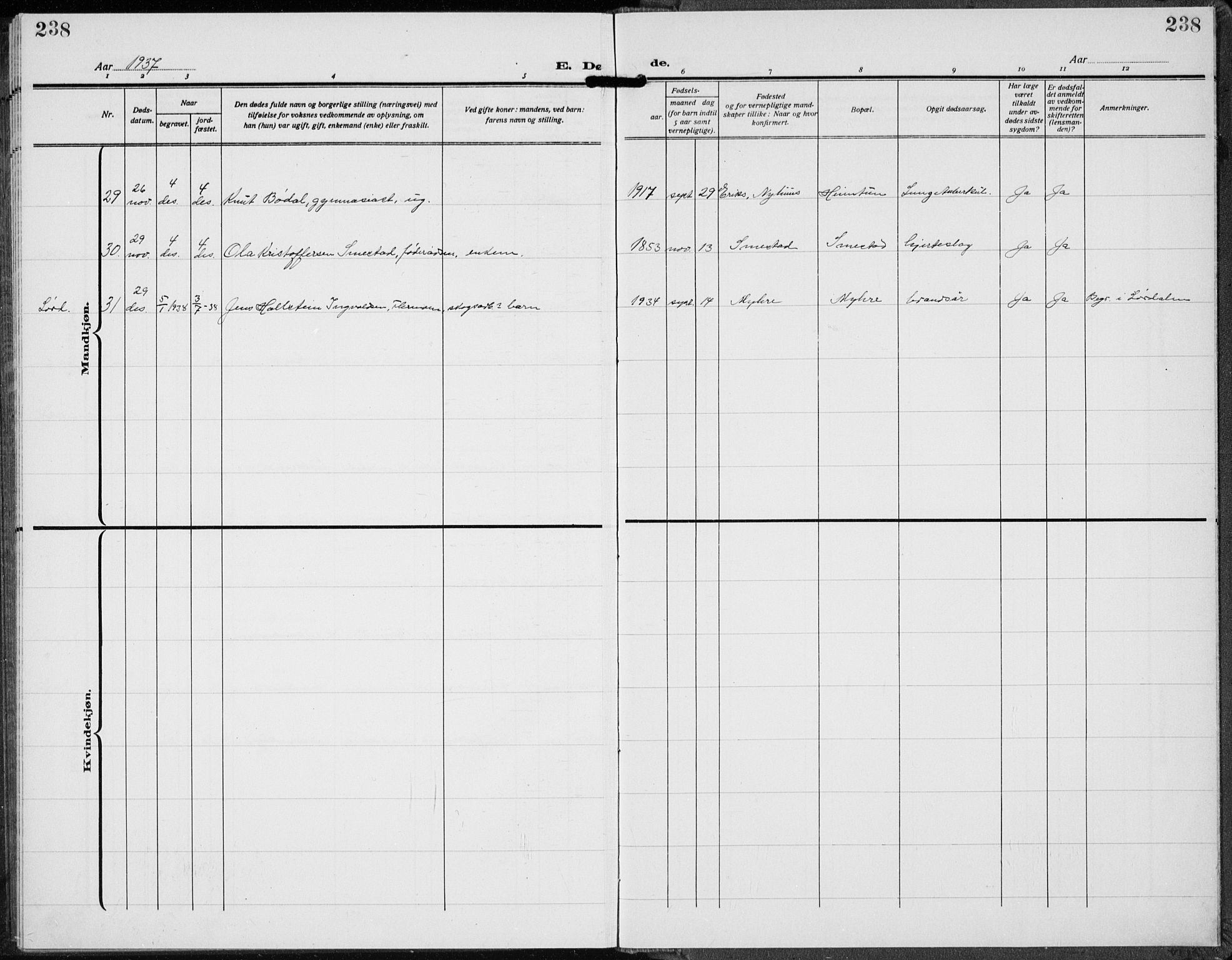 Trysil prestekontor, AV/SAH-PREST-046/H/Ha/Hab/L0010: Parish register (copy) no. 10, 1917-1937, p. 238