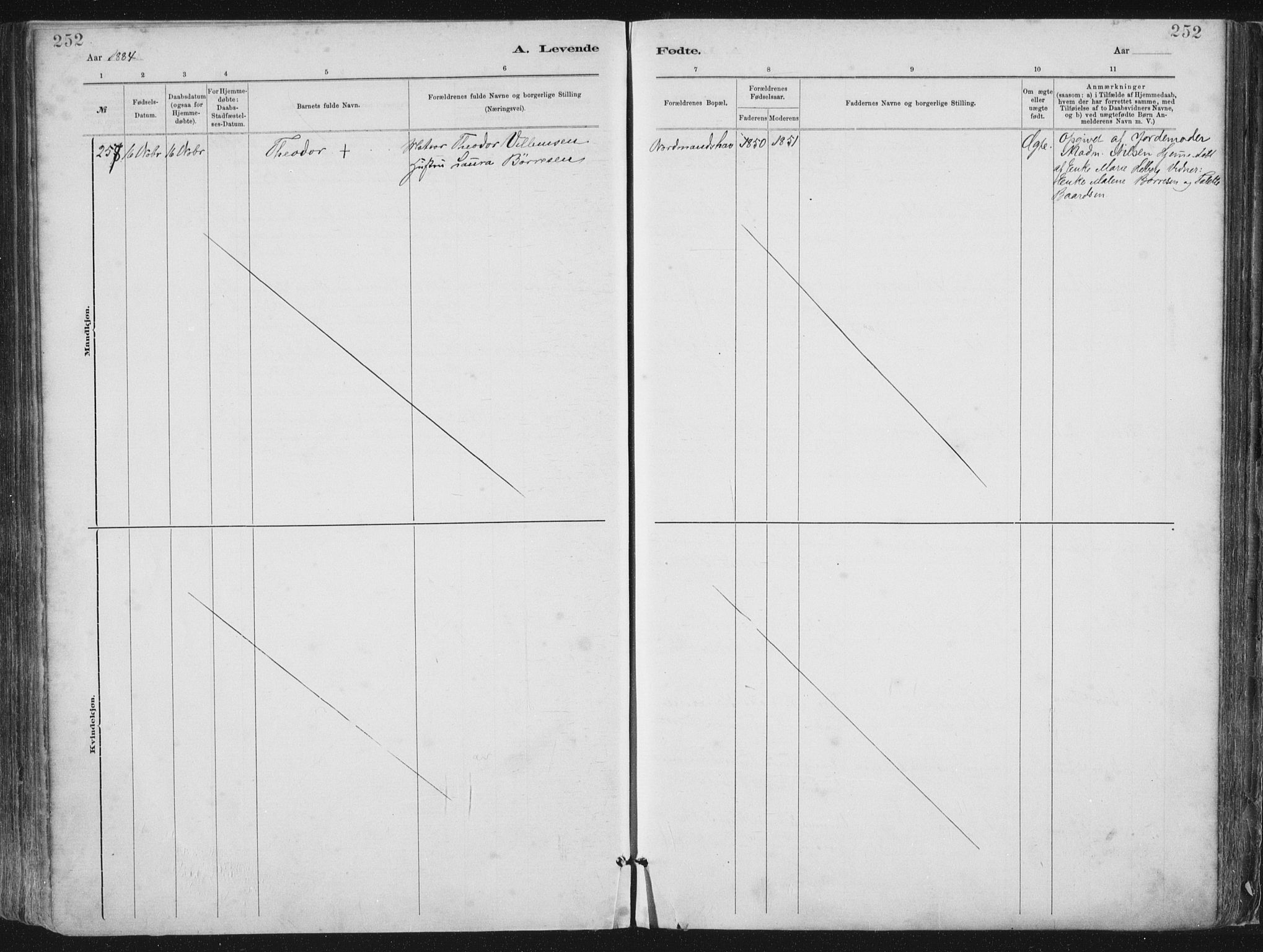 St. Petri sokneprestkontor, AV/SAST-A-101813/001/30/30BA/L0015: Parish register (official) no. A 15, 1879-1888, p. 252