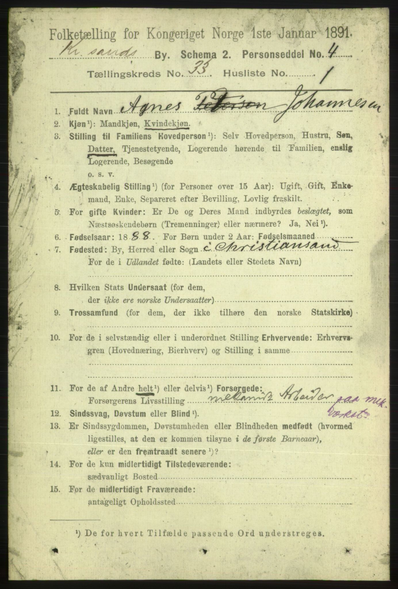 RA, 1891 census for 1001 Kristiansand, 1891, p. 10691