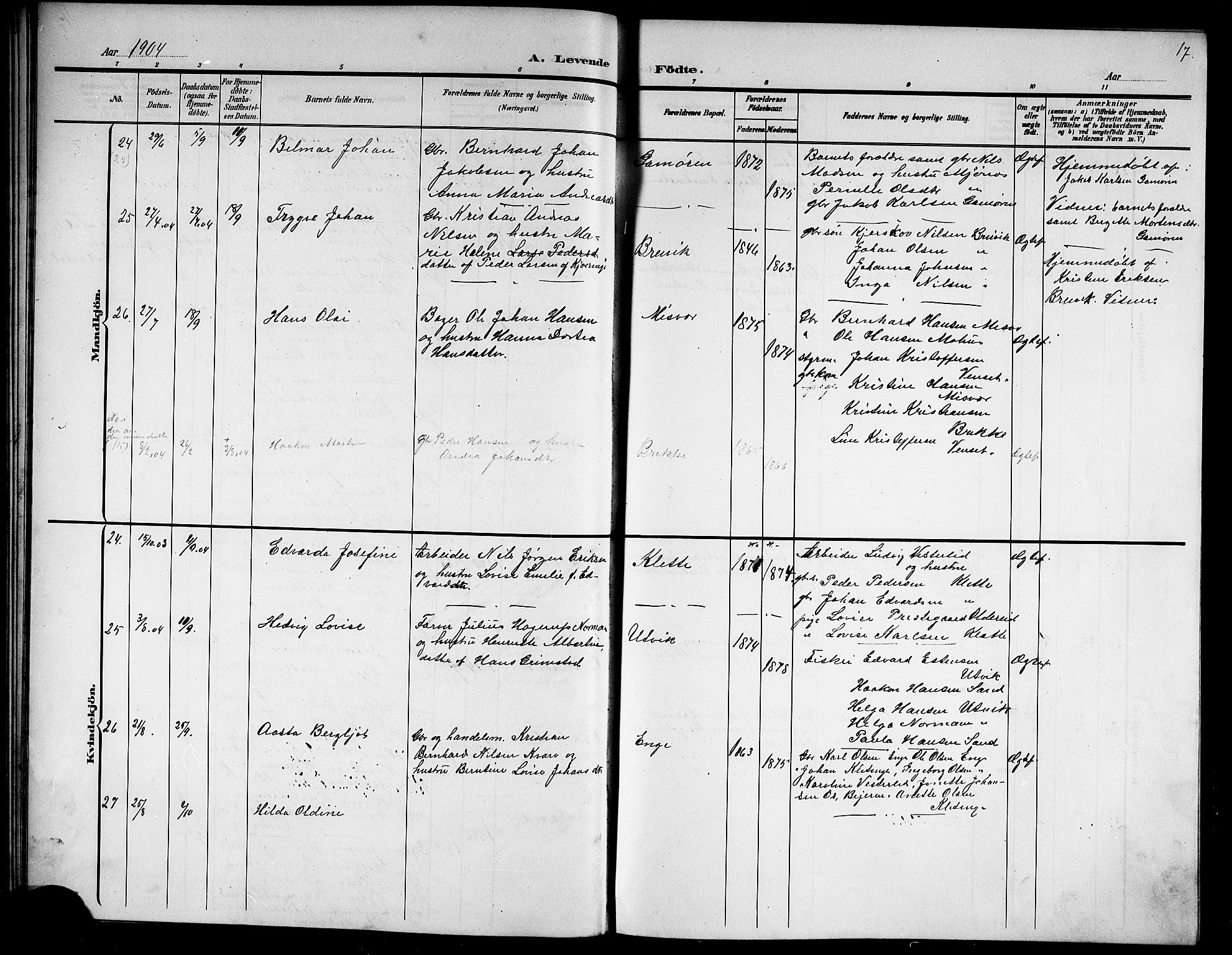 Ministerialprotokoller, klokkerbøker og fødselsregistre - Nordland, AV/SAT-A-1459/852/L0756: Parish register (copy) no. 852C07, 1902-1916, p. 17