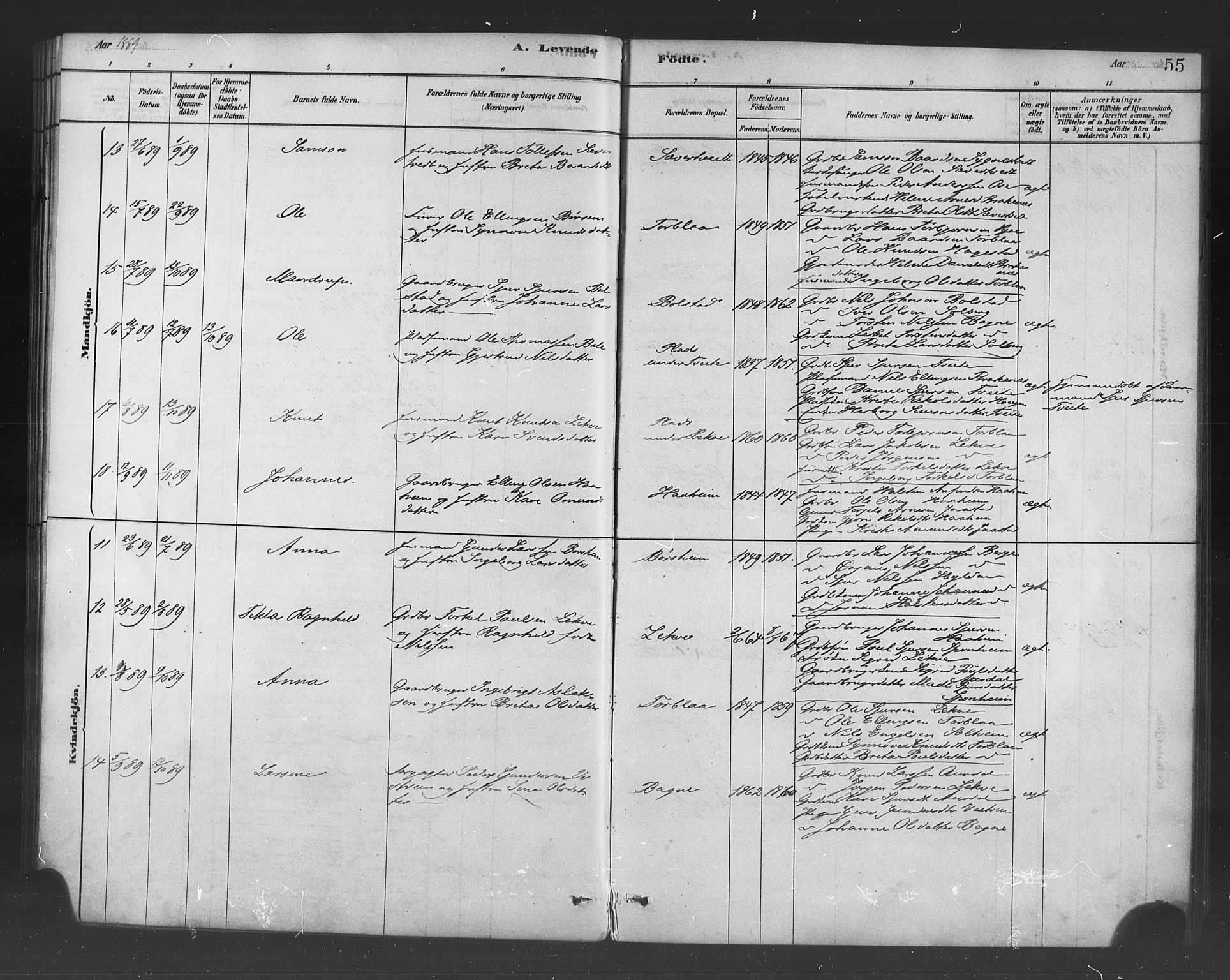 Ulvik sokneprestembete, SAB/A-78801/H/Haa: Parish register (official) no. B 1, 1878-1897, p. 55