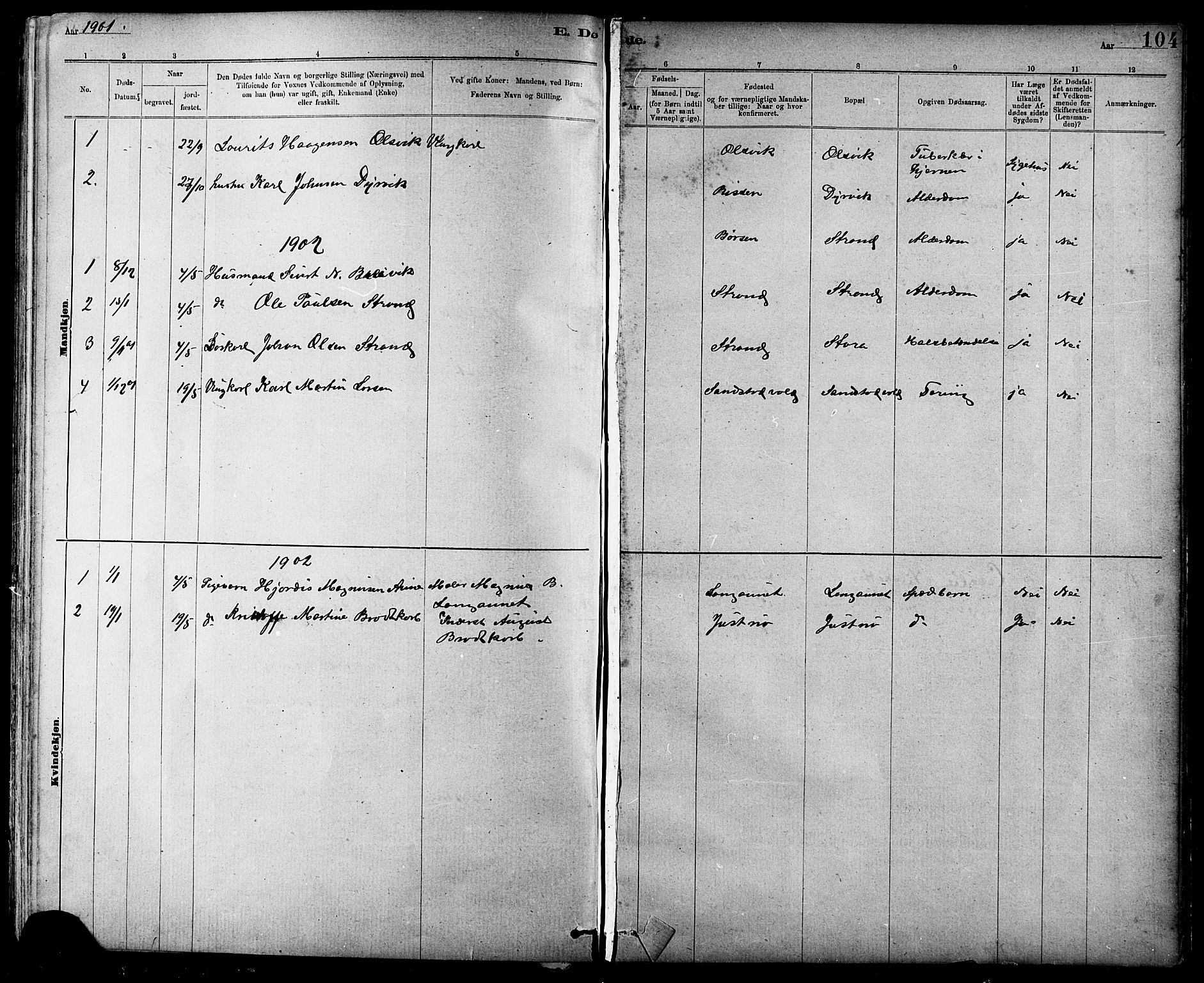Ministerialprotokoller, klokkerbøker og fødselsregistre - Sør-Trøndelag, SAT/A-1456/639/L0573: Parish register (copy) no. 639C01, 1890-1905, p. 104