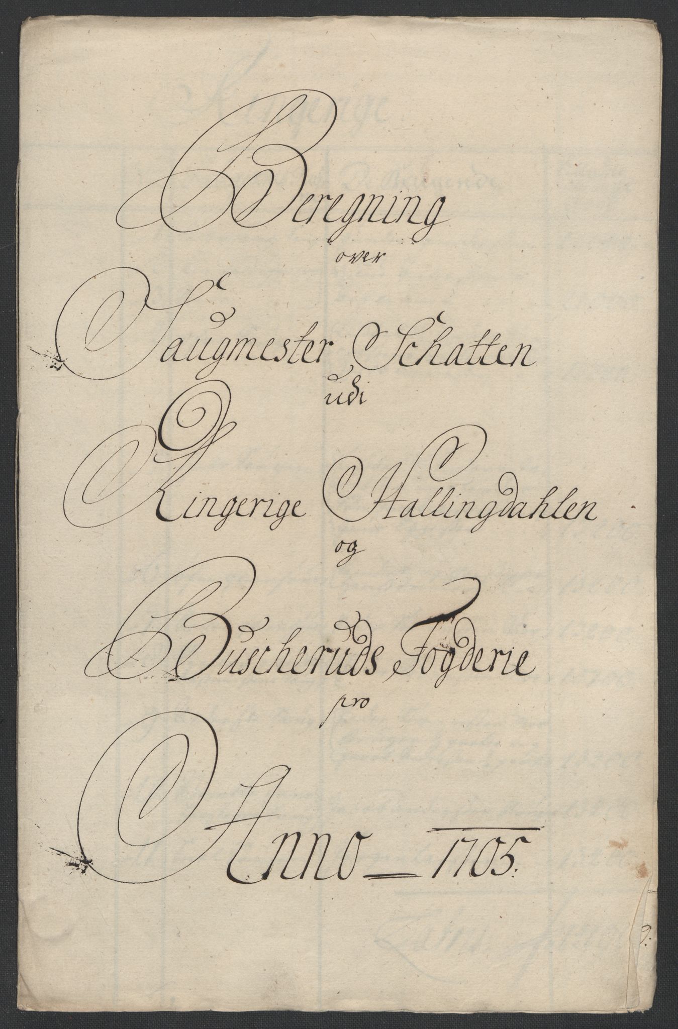 Rentekammeret inntil 1814, Reviderte regnskaper, Fogderegnskap, RA/EA-4092/R22/L1464: Fogderegnskap Ringerike, Hallingdal og Buskerud, 1705, p. 171