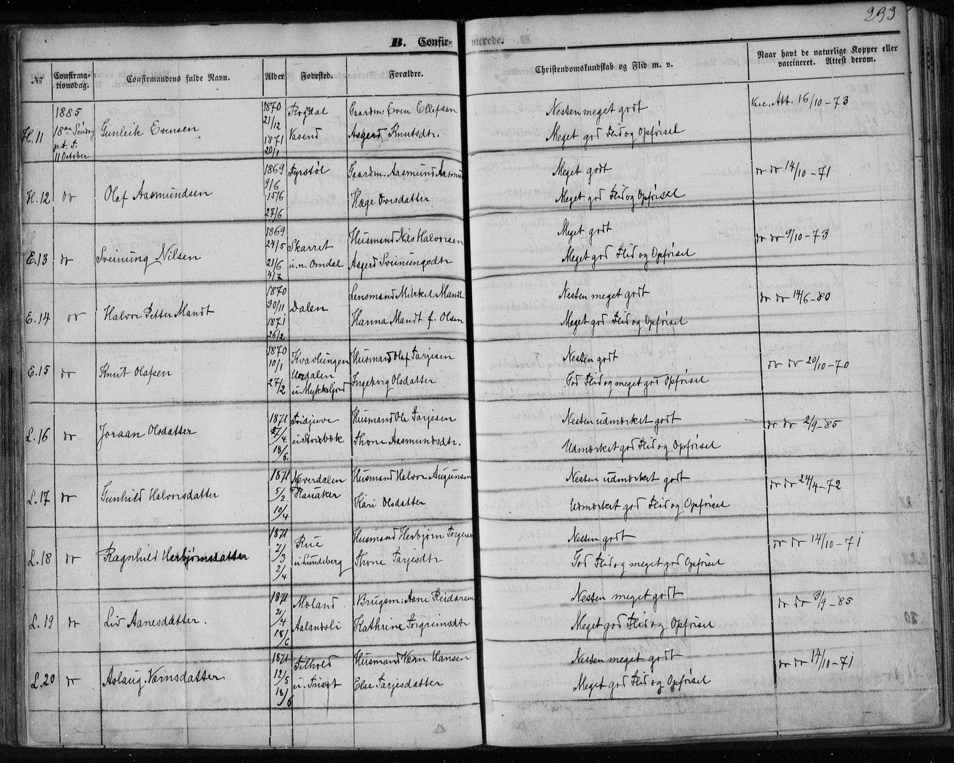 Lårdal kirkebøker, SAKO/A-284/F/Fa/L0006: Parish register (official) no. I 6, 1861-1886, p. 233