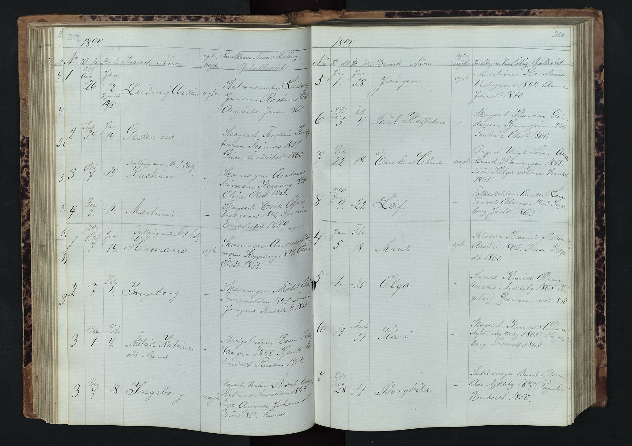 Stor-Elvdal prestekontor, AV/SAH-PREST-052/H/Ha/Hab/L0001: Parish register (copy) no. 1 /1, 1860-1894, p. 259-260