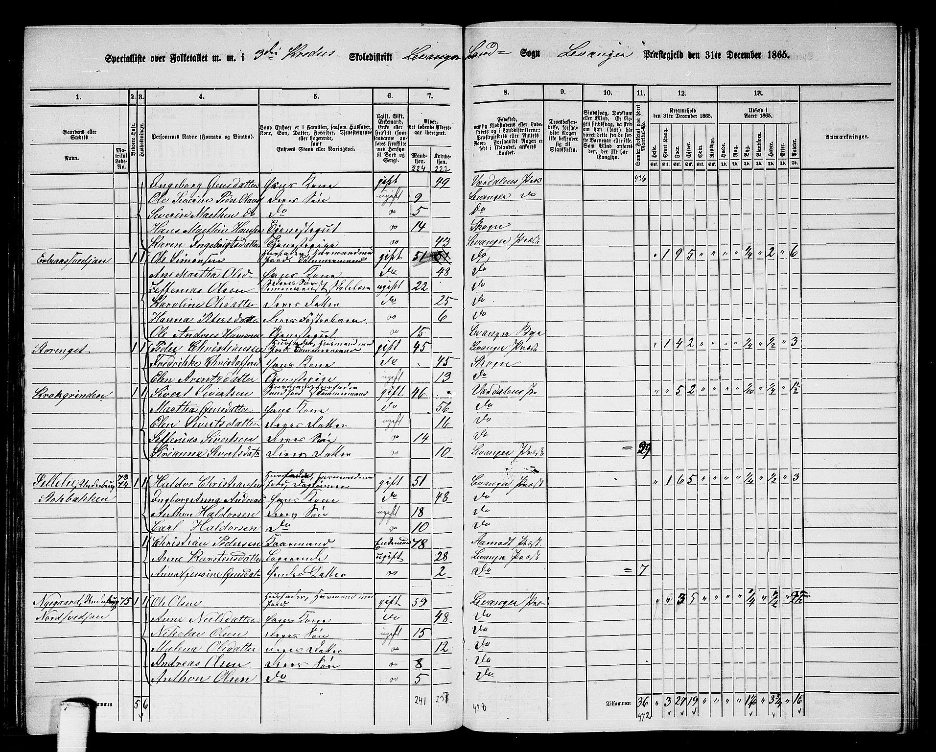 RA, 1865 census for Levanger/Levanger, 1865, p. 74