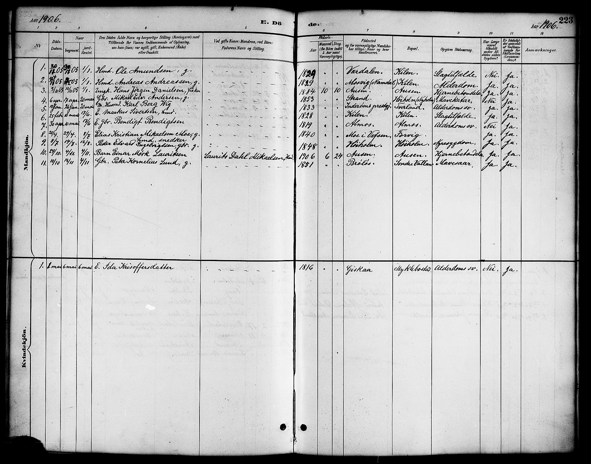 Ministerialprotokoller, klokkerbøker og fødselsregistre - Nordland, AV/SAT-A-1459/819/L0277: Parish register (copy) no. 819C03, 1888-1917, p. 223