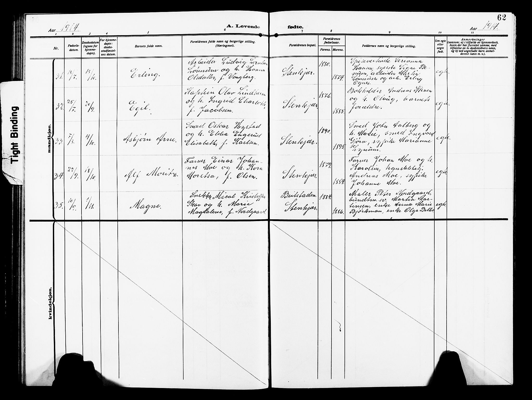 Ministerialprotokoller, klokkerbøker og fødselsregistre - Nord-Trøndelag, AV/SAT-A-1458/739/L0376: Parish register (copy) no. 739C04, 1908-1917, p. 62