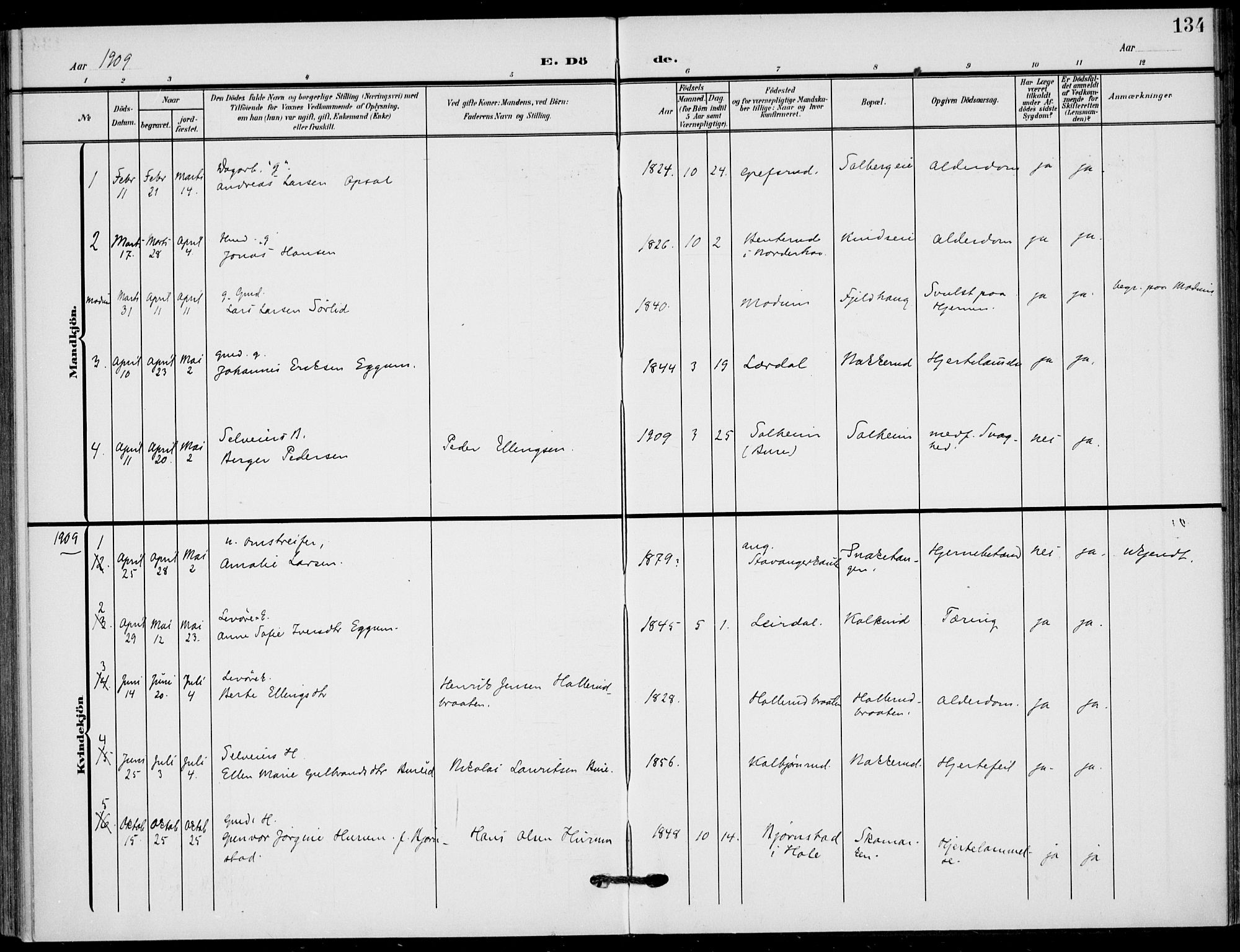 Hole kirkebøker, SAKO/A-228/F/Fb/L0003: Parish register (official) no. II 3, 1906-1916, p. 134