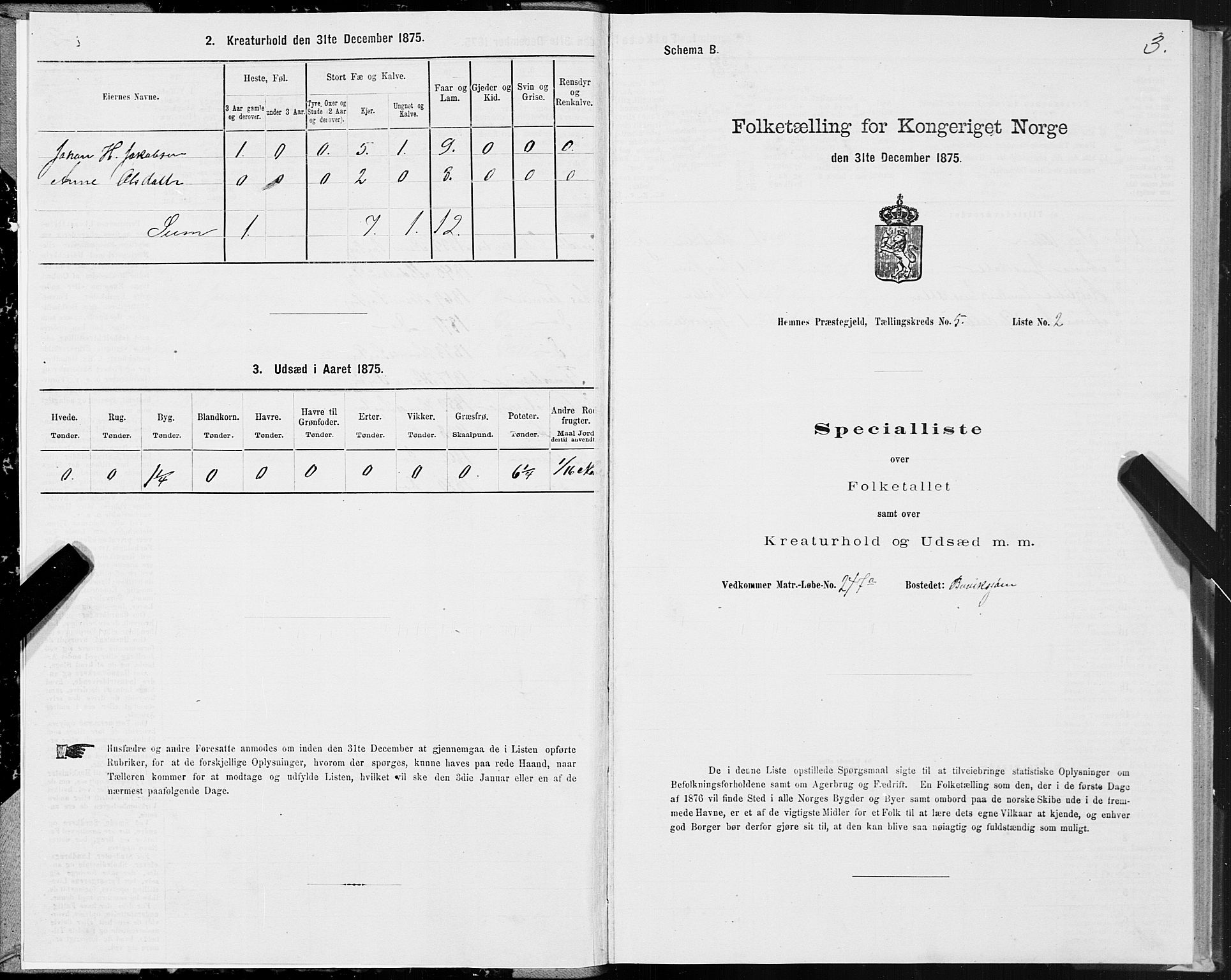 SAT, 1875 census for 1832P Hemnes, 1875, p. 3157