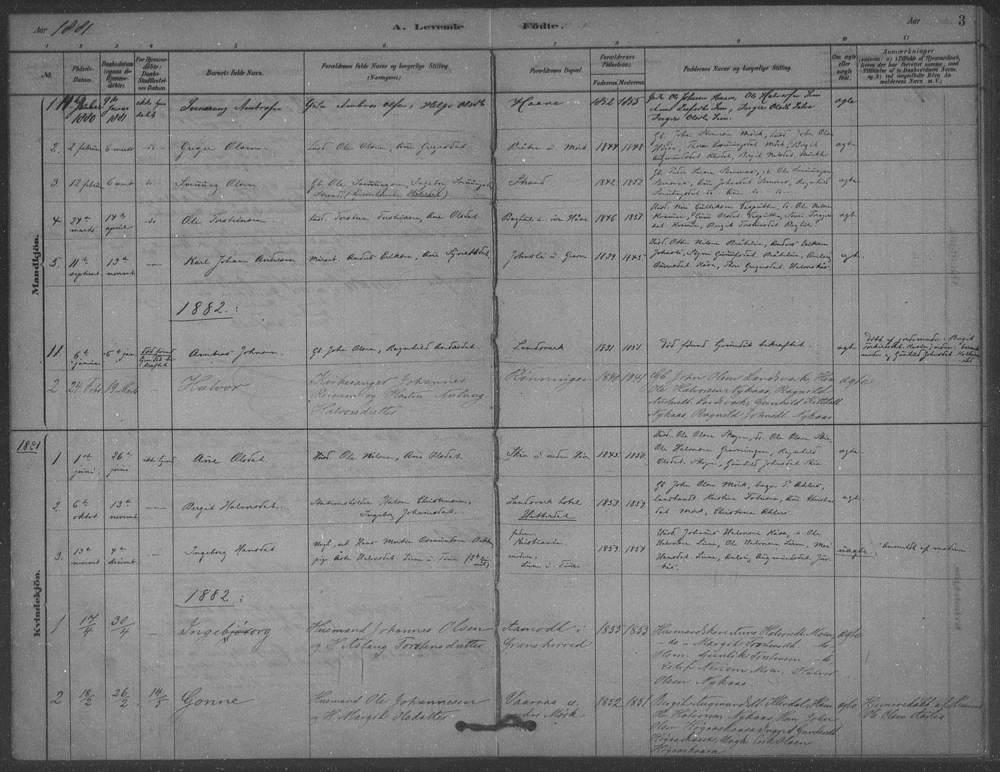 Heddal kirkebøker, AV/SAKO-A-268/F/Fb/L0002: Parish register (official) no. II 2, 1878-1913, p. 3