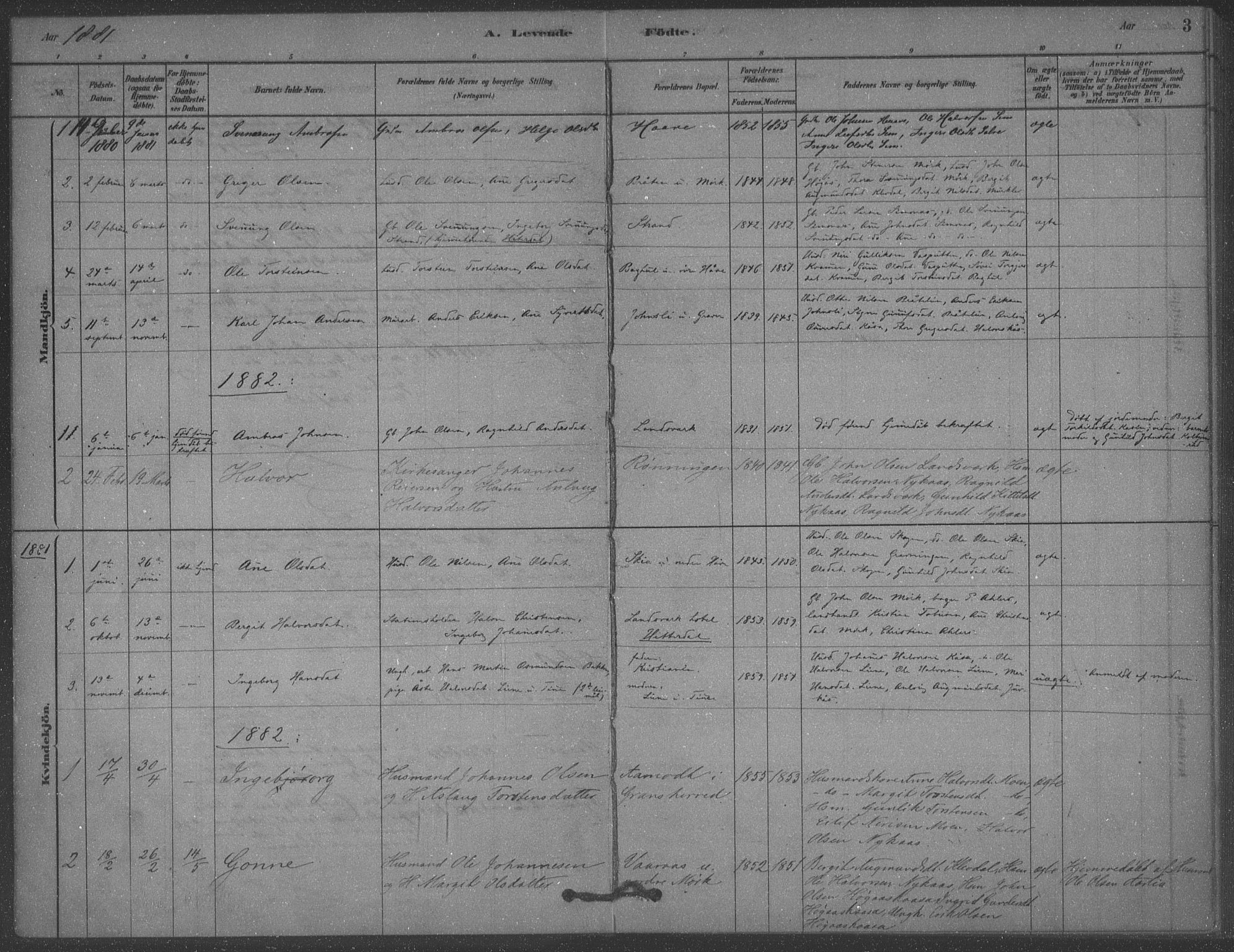 Heddal kirkebøker, SAKO/A-268/F/Fb/L0002: Parish register (official) no. II 2, 1878-1913, p. 3