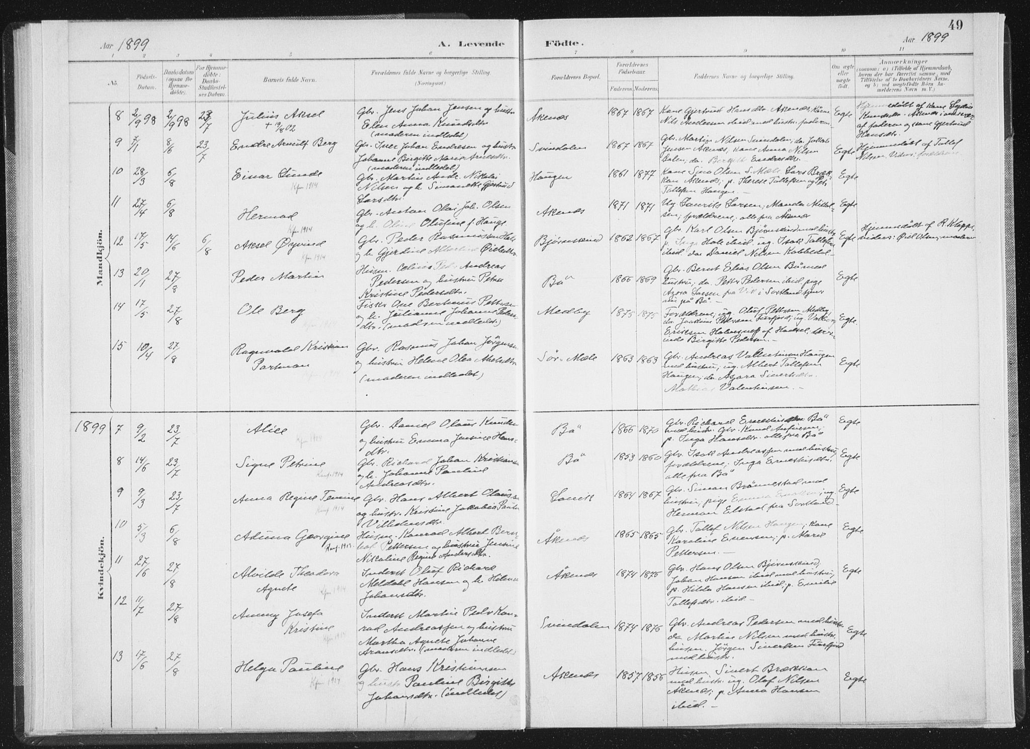 Ministerialprotokoller, klokkerbøker og fødselsregistre - Nordland, SAT/A-1459/898/L1422: Parish register (official) no. 898A02, 1887-1908, p. 49