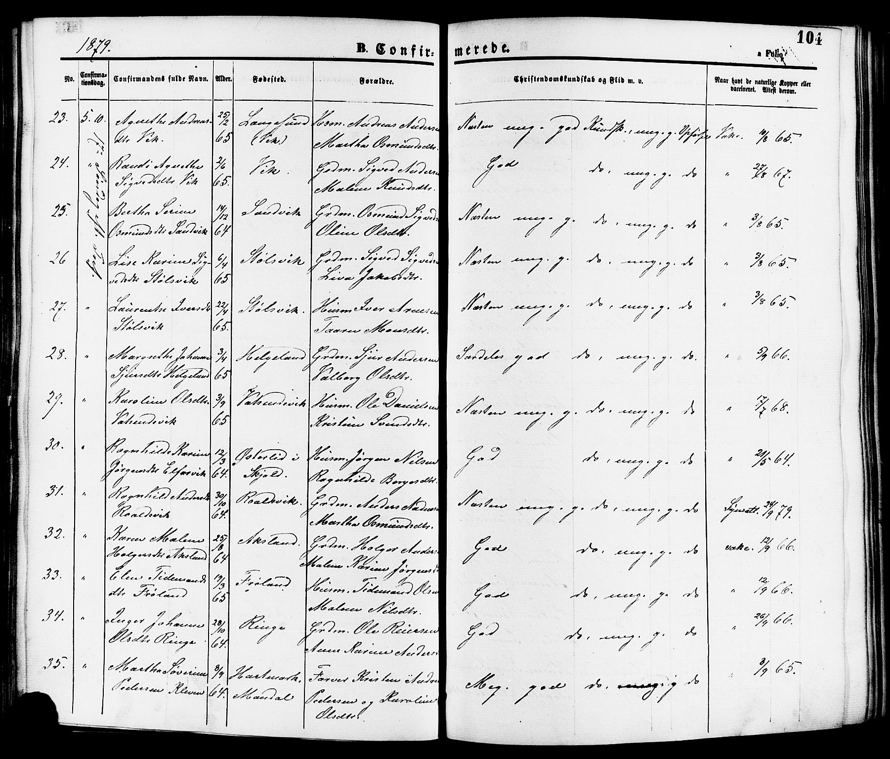 Nedstrand sokneprestkontor, SAST/A-101841/01/IV: Parish register (official) no. A 11, 1877-1887, p. 104