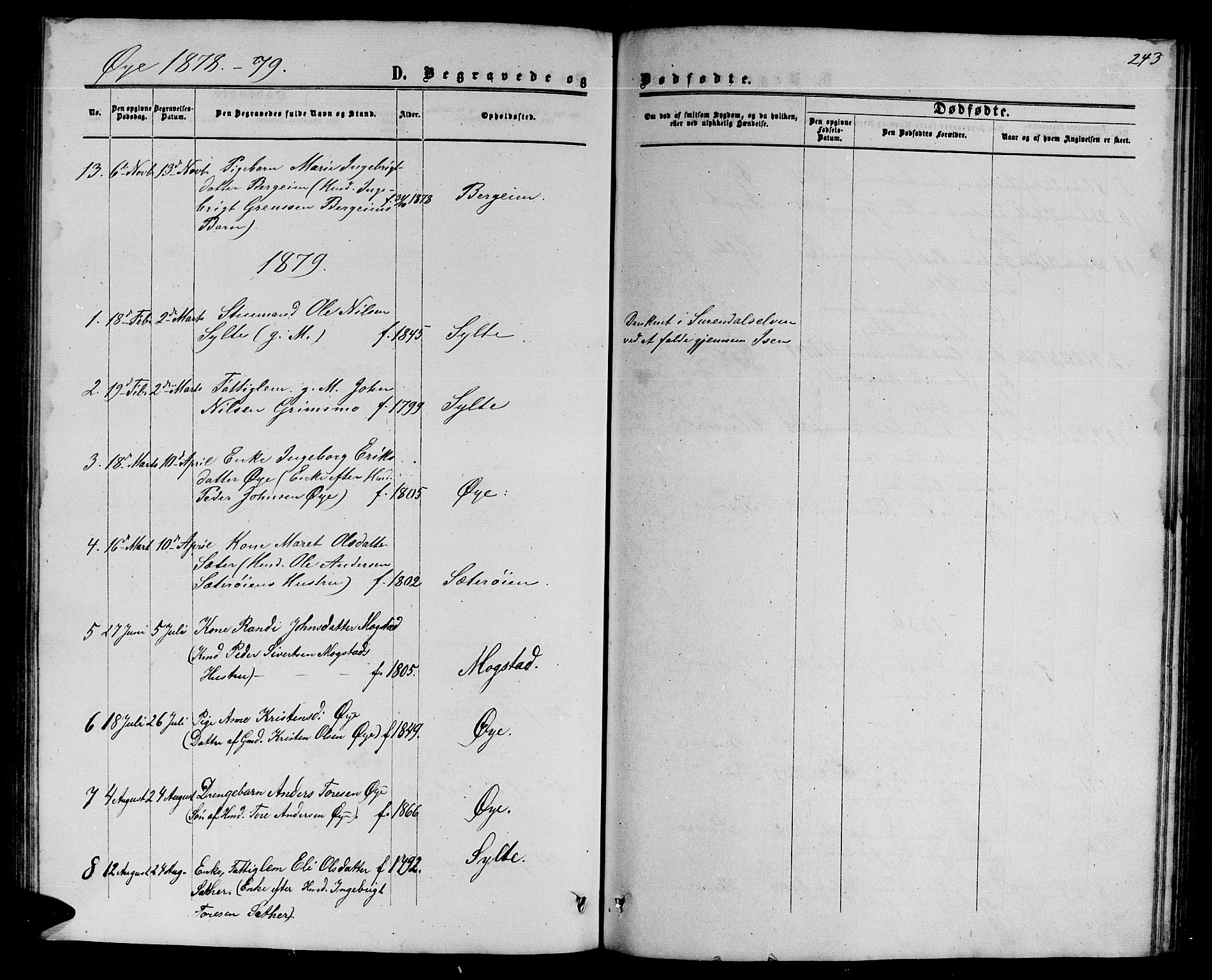 Ministerialprotokoller, klokkerbøker og fødselsregistre - Møre og Romsdal, SAT/A-1454/595/L1051: Parish register (copy) no. 595C03, 1866-1891, p. 243