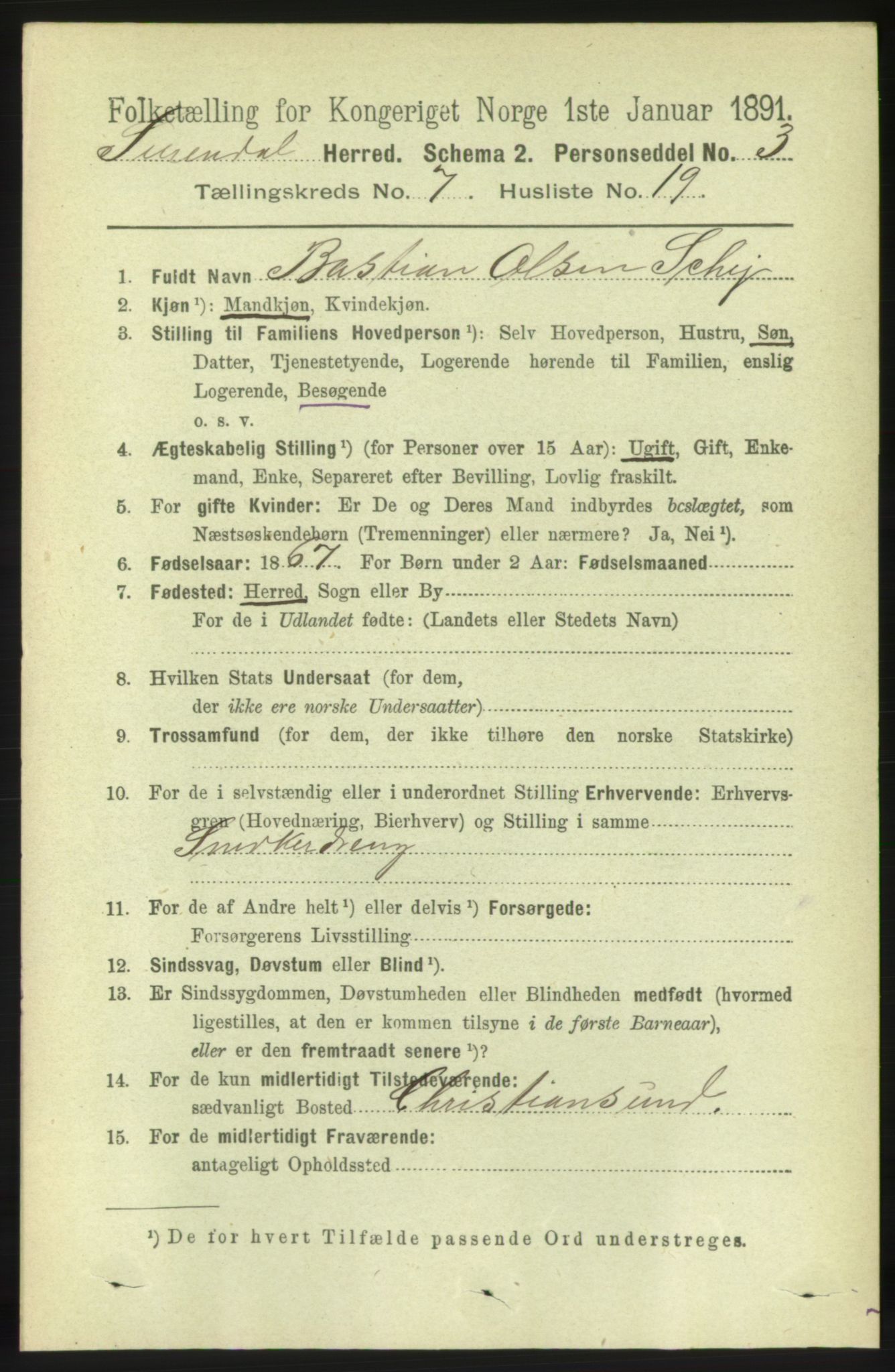 RA, 1891 census for 1566 Surnadal, 1891, p. 1941