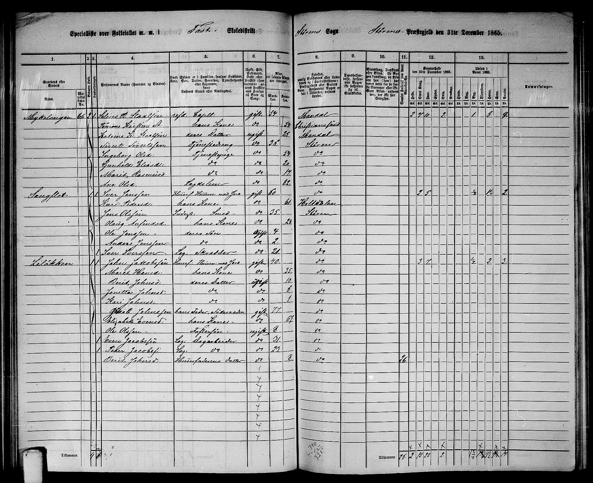 RA, 1865 census for Støren, 1865, p. 108