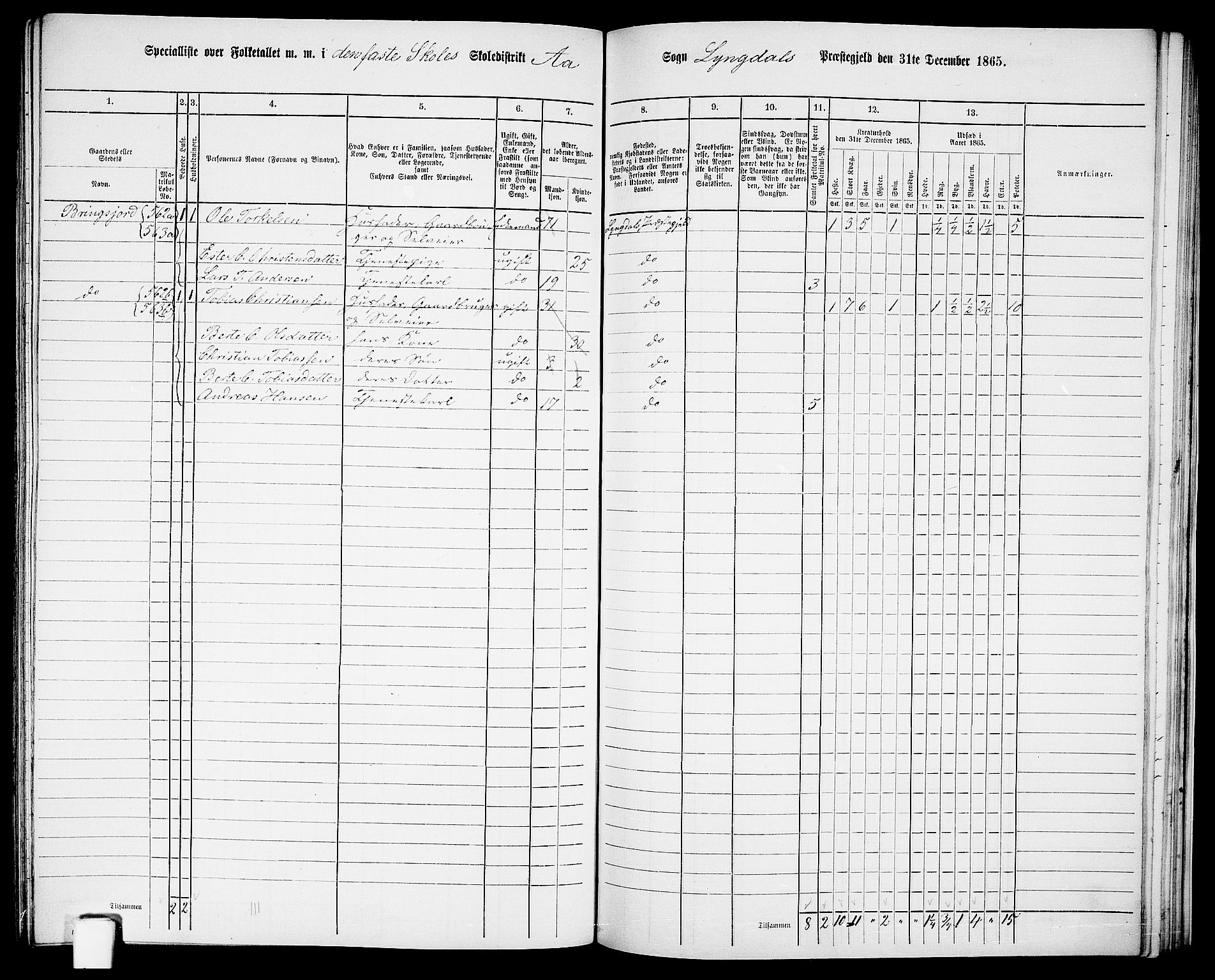 RA, 1865 census for Lyngdal, 1865, p. 214