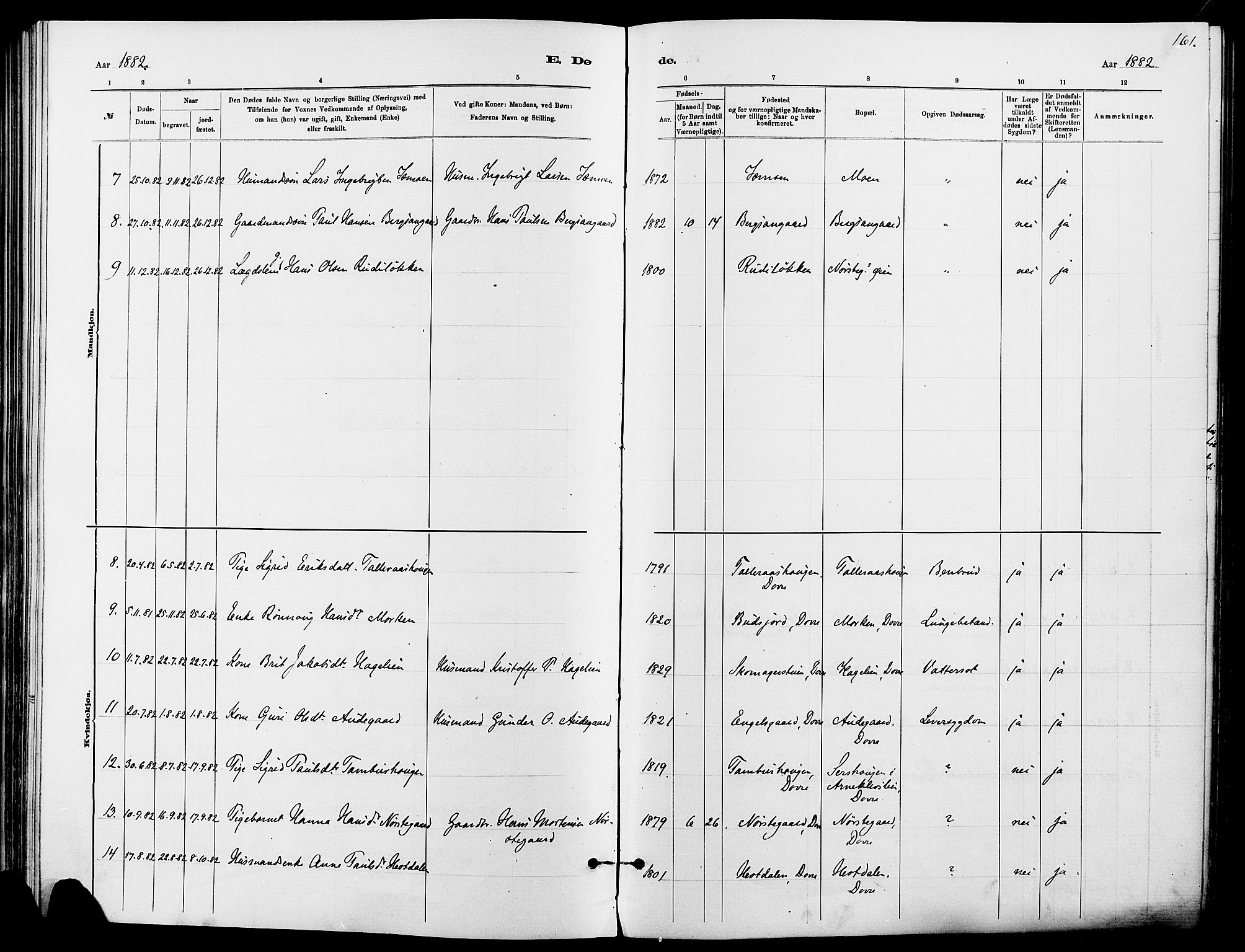 Dovre prestekontor, AV/SAH-PREST-066/H/Ha/Haa/L0002: Parish register (official) no. 2, 1879-1890, p. 161