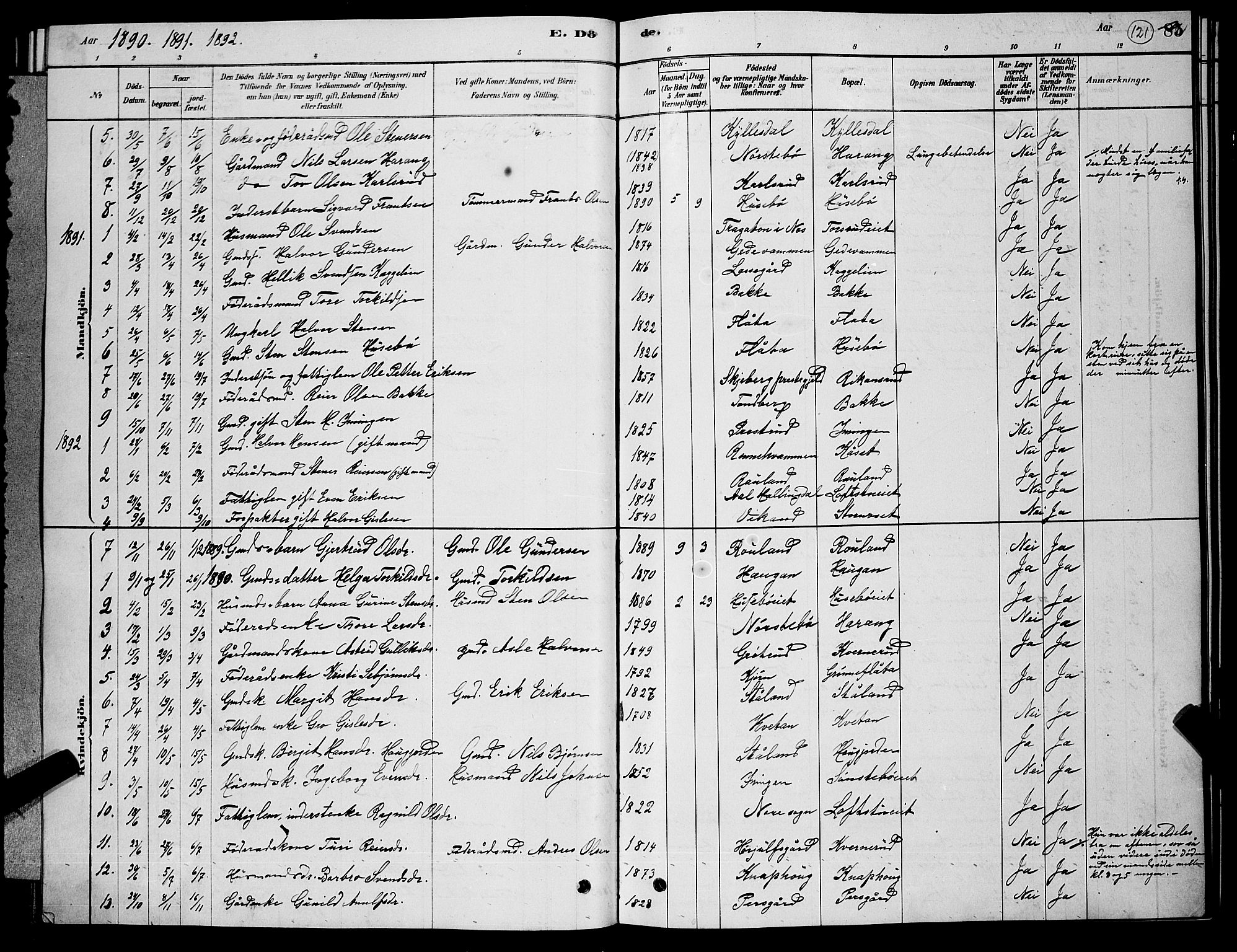 Nore kirkebøker, AV/SAKO-A-238/G/Gb/L0002: Parish register (copy) no. II 2, 1878-1894, p. 121
