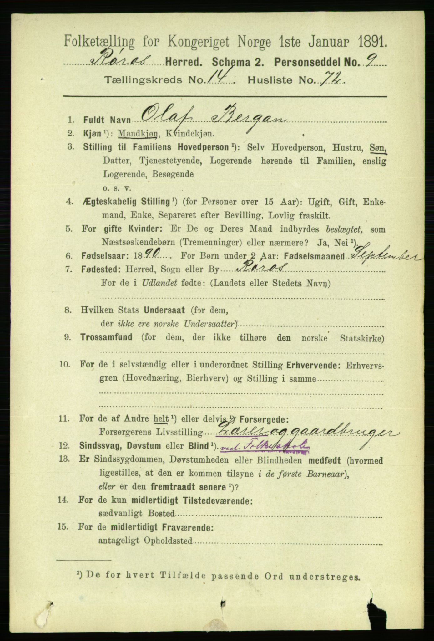 RA, 1891 census for 1640 Røros, 1891, p. 3260