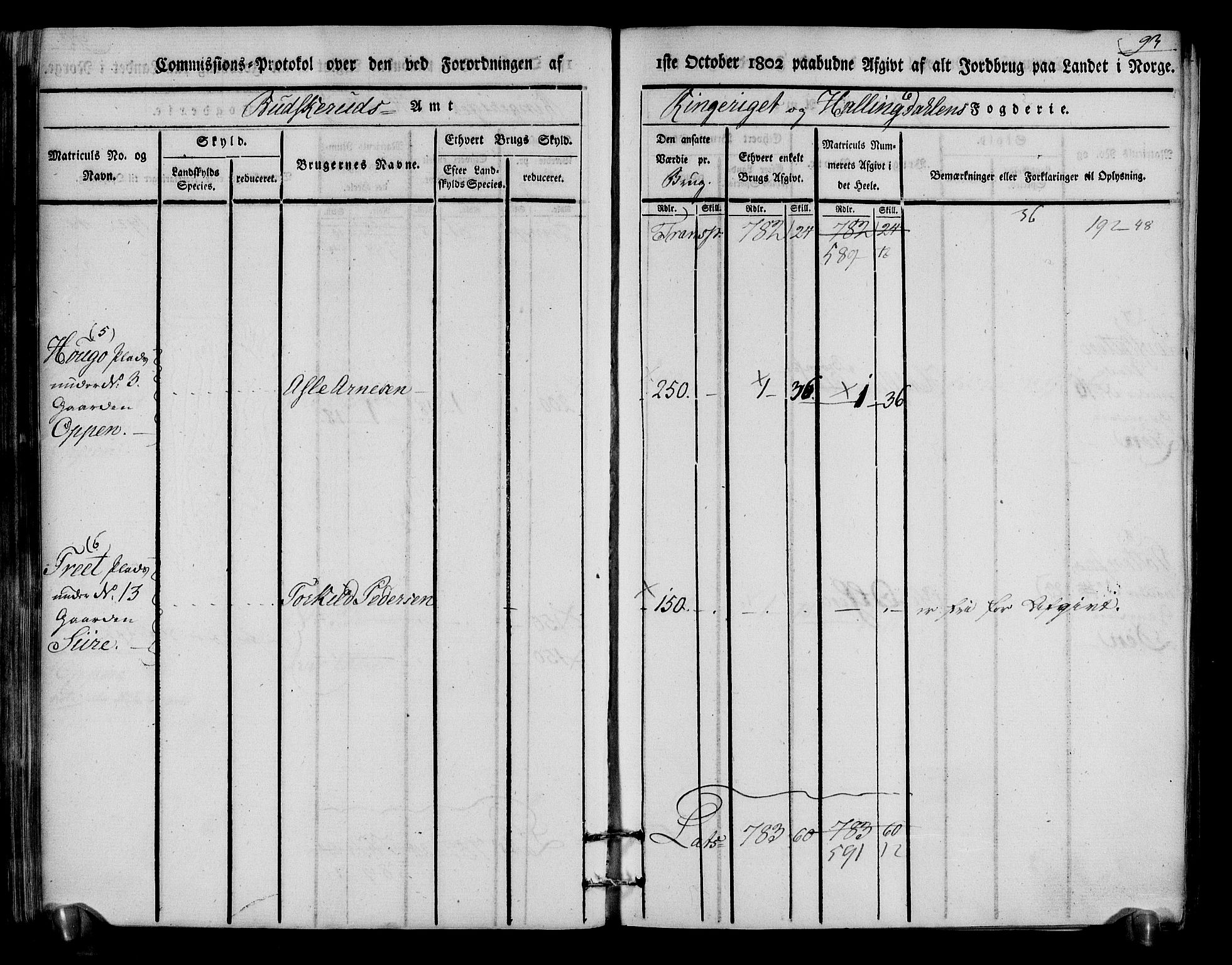 Rentekammeret inntil 1814, Realistisk ordnet avdeling, RA/EA-4070/N/Ne/Nea/L0048: Ringerike og Hallingdal fogderi. Kommisjonsprotokoll for Ål prestegjeld, 1803, p. 97