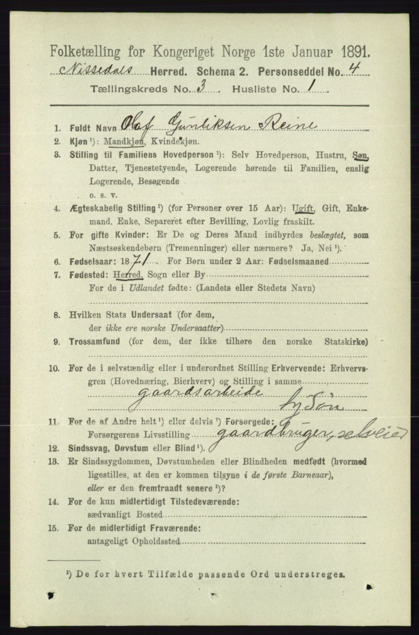 RA, 1891 census for 0830 Nissedal, 1891, p. 636