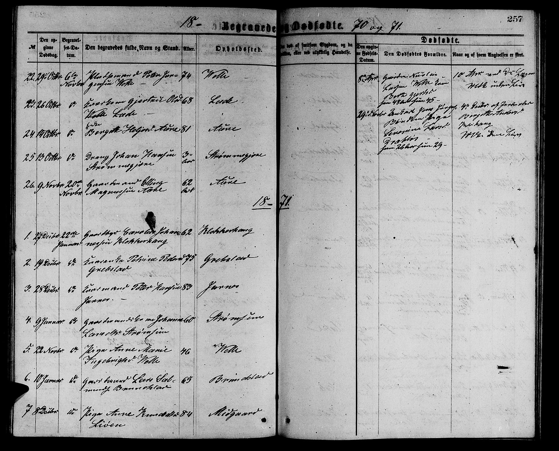 Ministerialprotokoller, klokkerbøker og fødselsregistre - Møre og Romsdal, AV/SAT-A-1454/523/L0338: Parish register (copy) no. 523C01, 1865-1877, p. 257