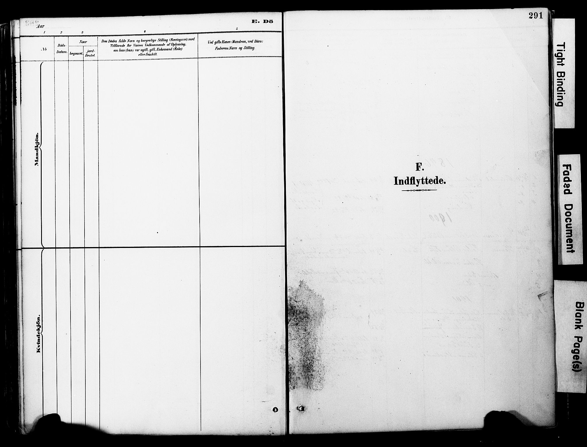 Ministerialprotokoller, klokkerbøker og fødselsregistre - Møre og Romsdal, SAT/A-1454/578/L0907: Parish register (official) no. 578A06, 1887-1904, p. 291