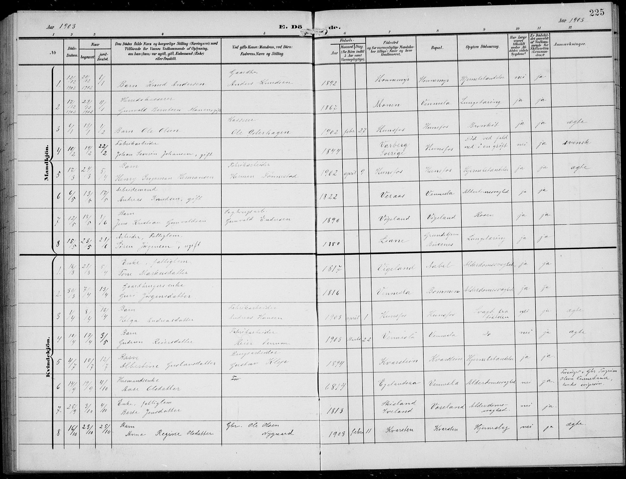 Vennesla sokneprestkontor, SAK/1111-0045/Fb/Fbb/L0005: Parish register (copy) no. B 5, 1903-1913, p. 225