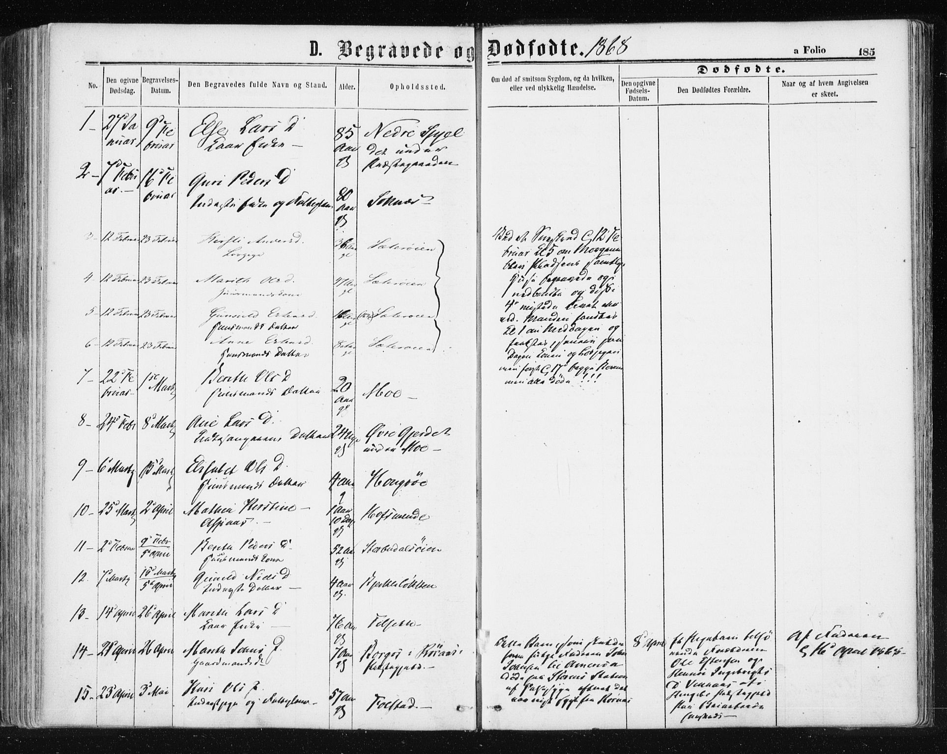 Ministerialprotokoller, klokkerbøker og fødselsregistre - Sør-Trøndelag, AV/SAT-A-1456/687/L1001: Parish register (official) no. 687A07, 1863-1878, p. 185