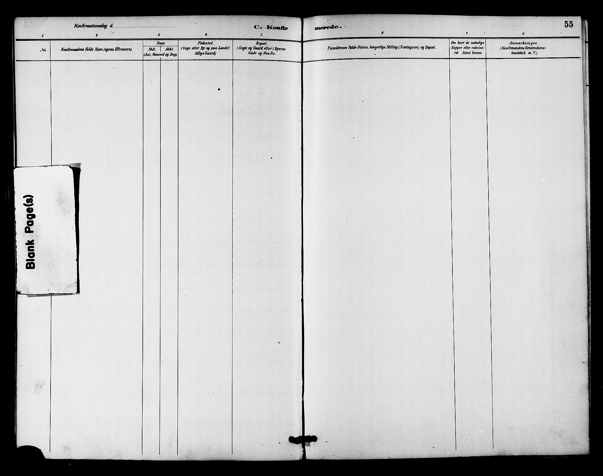 Ministerialprotokoller, klokkerbøker og fødselsregistre - Nordland, AV/SAT-A-1459/894/L1355: Parish register (official) no. 894A01, 1885-1896, p. 55