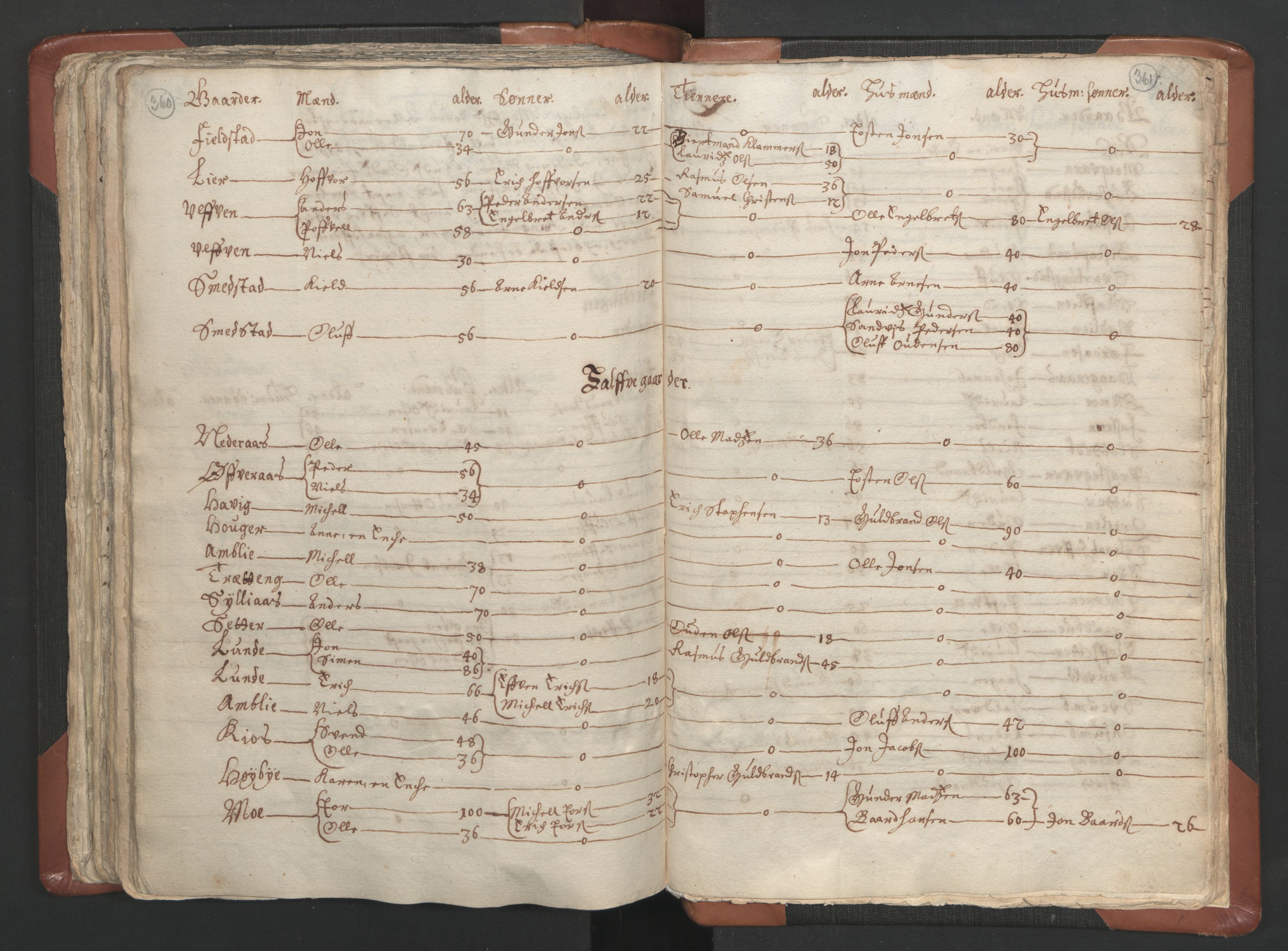 RA, Vicar's Census 1664-1666, no. 5: Hedmark deanery, 1664-1666, p. 360-361