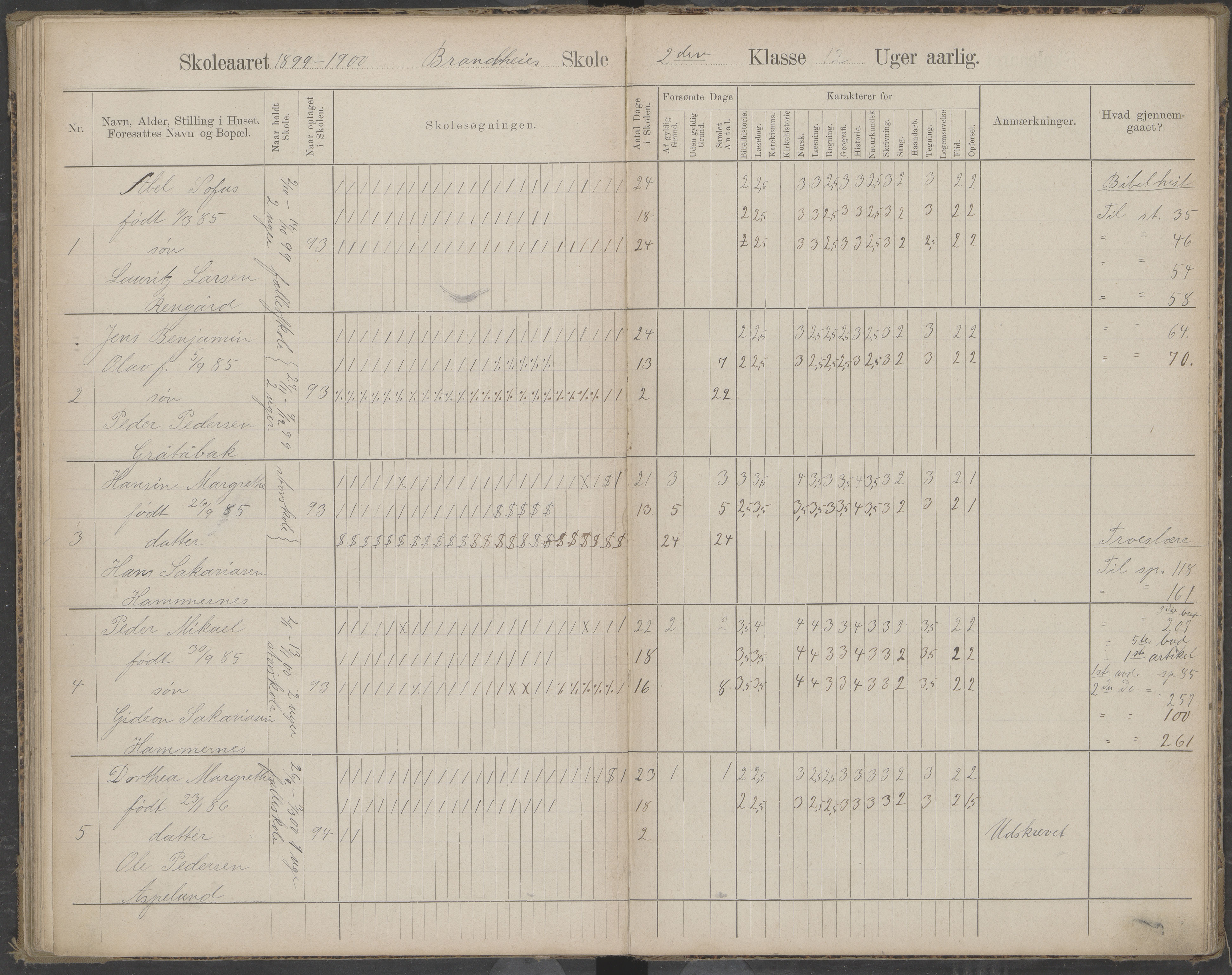 Beiarn kommune. Brandhei skolekrets, AIN/K-18390.510.03/442/L0003: Karakter/oversiktsprotokoll, 1893-1910