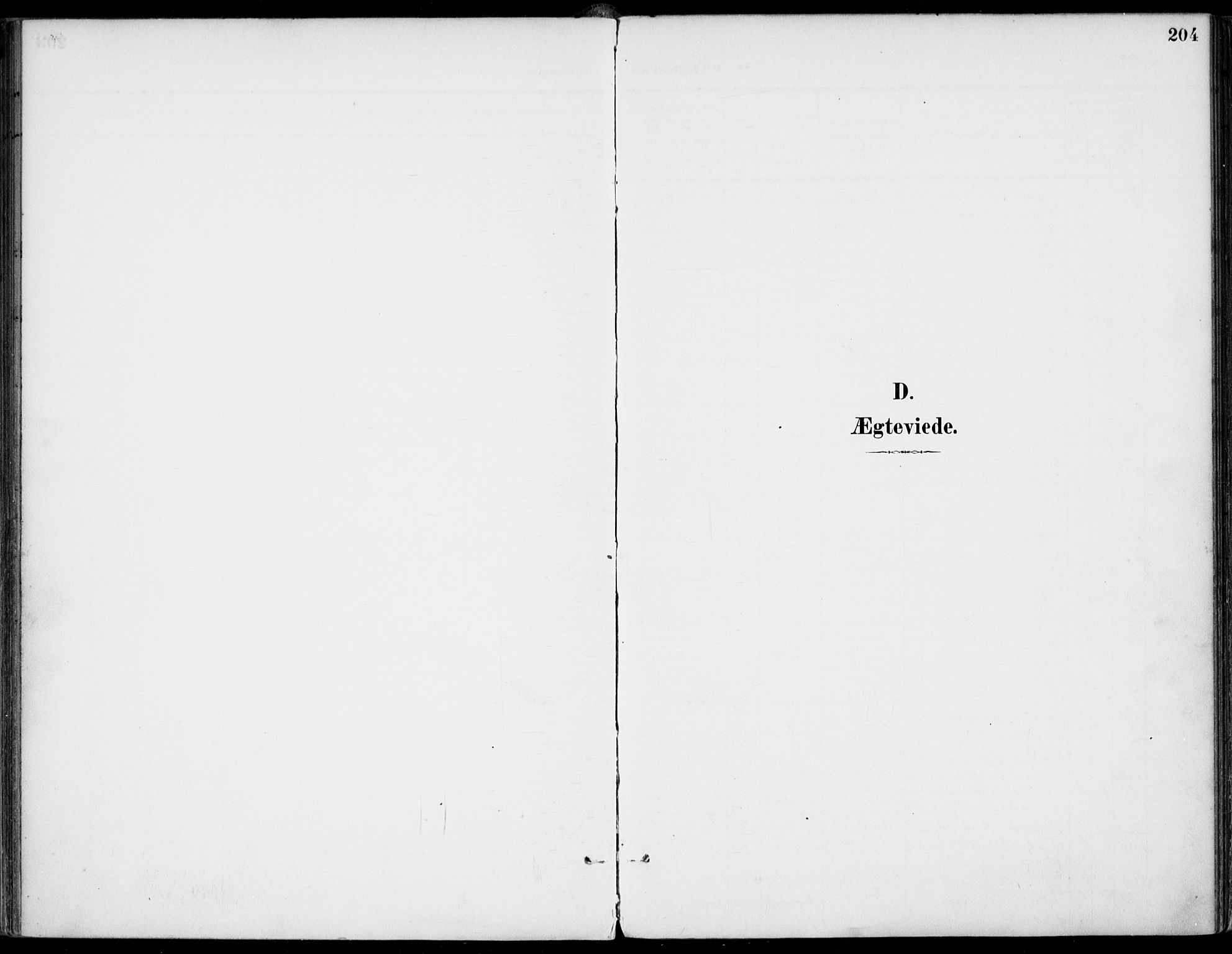 Gjerpen kirkebøker, AV/SAKO-A-265/F/Fa/L0011: Parish register (official) no. I 11, 1896-1904, p. 204