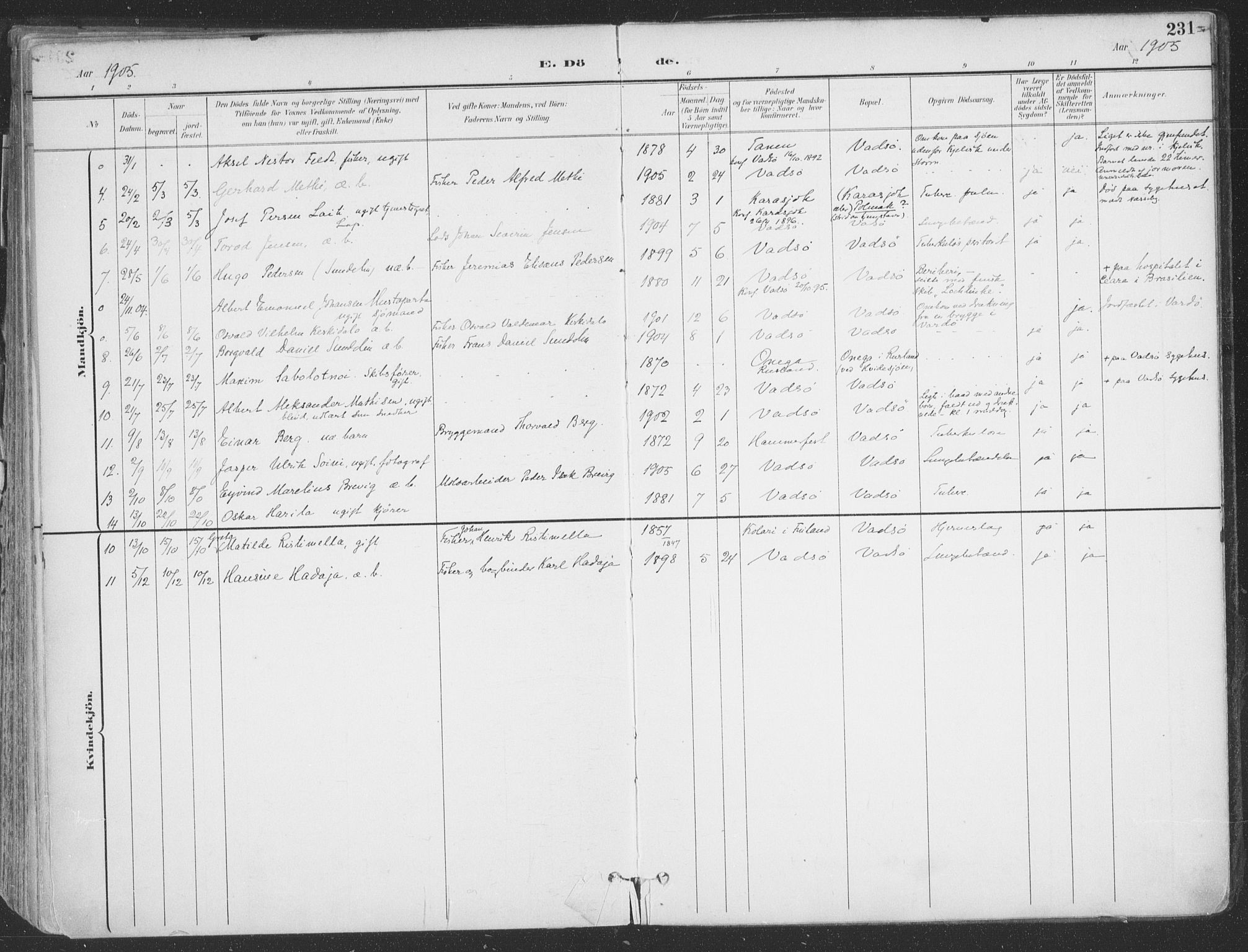 Vadsø sokneprestkontor, SATØ/S-1325/H/Ha/L0007kirke: Parish register (official) no. 7, 1896-1916, p. 231