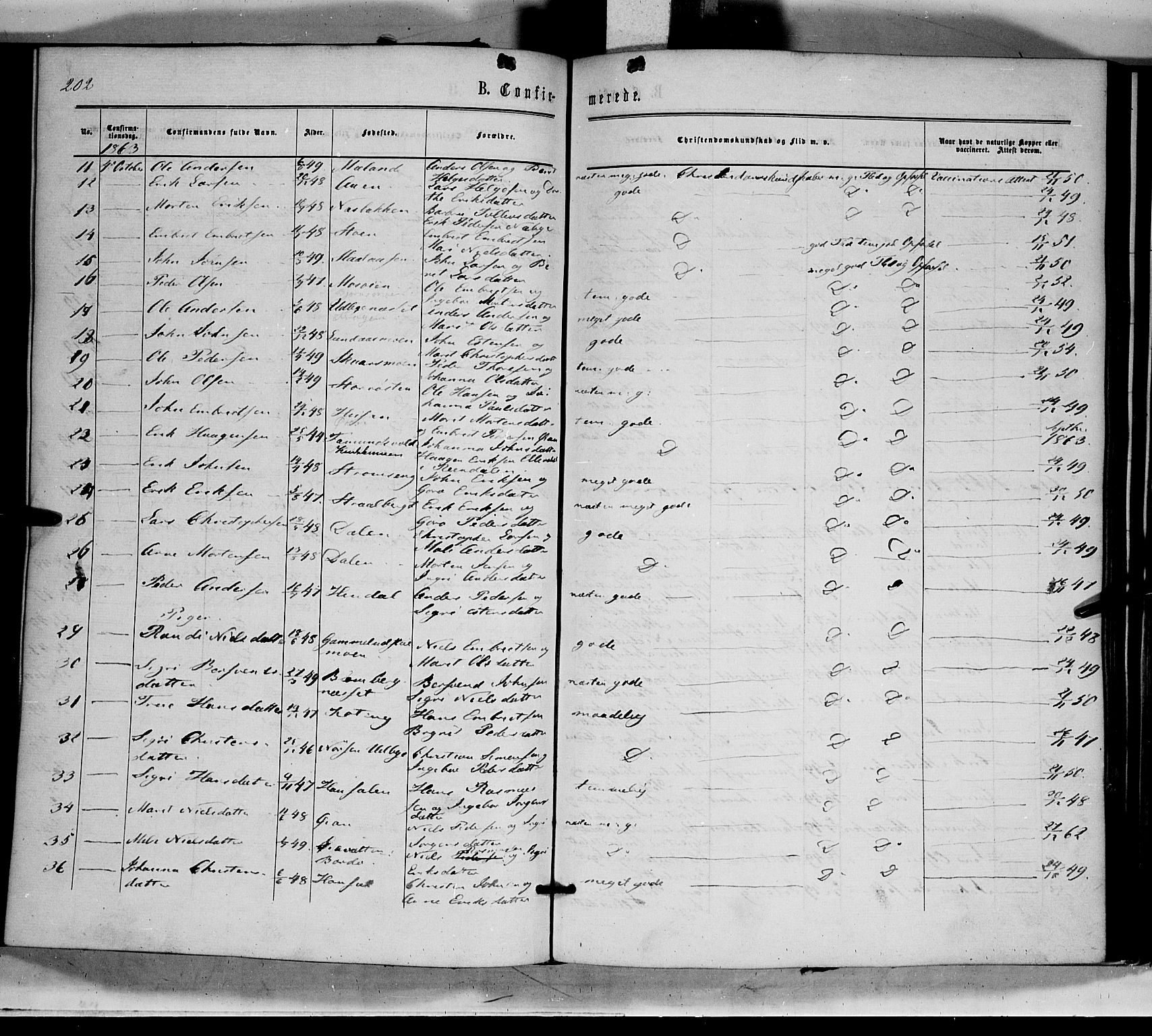 Tynset prestekontor, AV/SAH-PREST-058/H/Ha/Haa/L0021: Parish register (official) no. 21, 1863-1879, p. 202