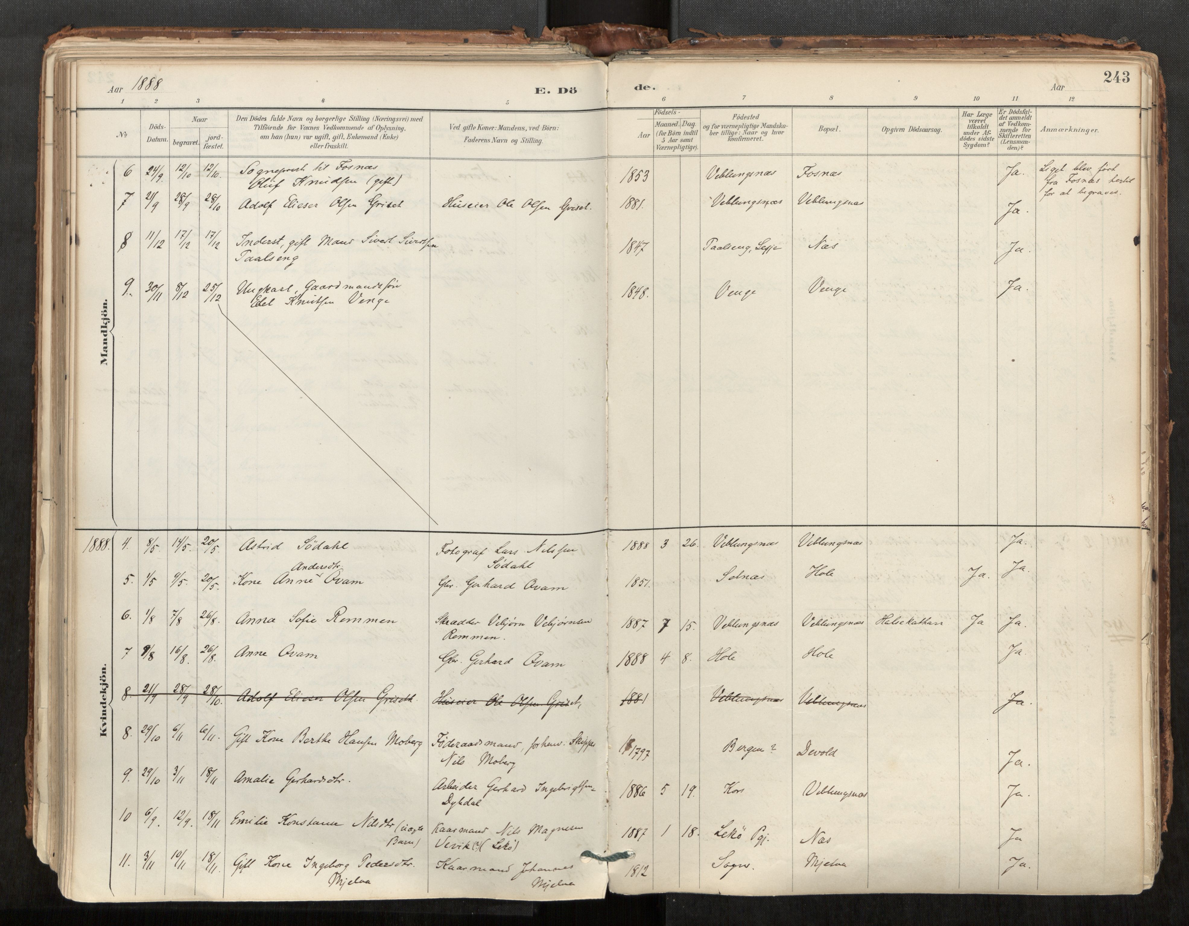 Ministerialprotokoller, klokkerbøker og fødselsregistre - Møre og Romsdal, AV/SAT-A-1454/544/L0585: Parish register (official) no. 544A06, 1887-1924, p. 243