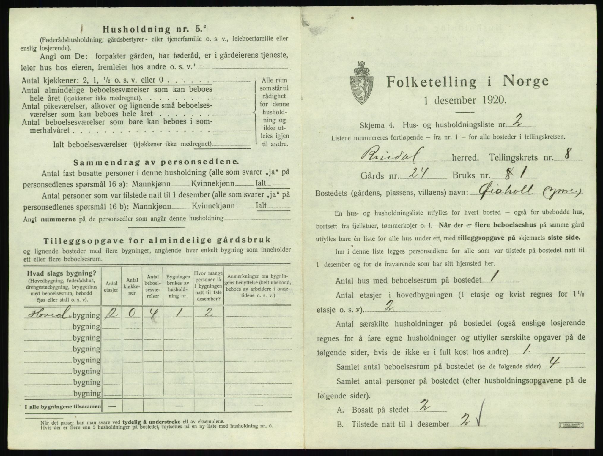 SAT, 1920 census for Rindal, 1920, p. 538