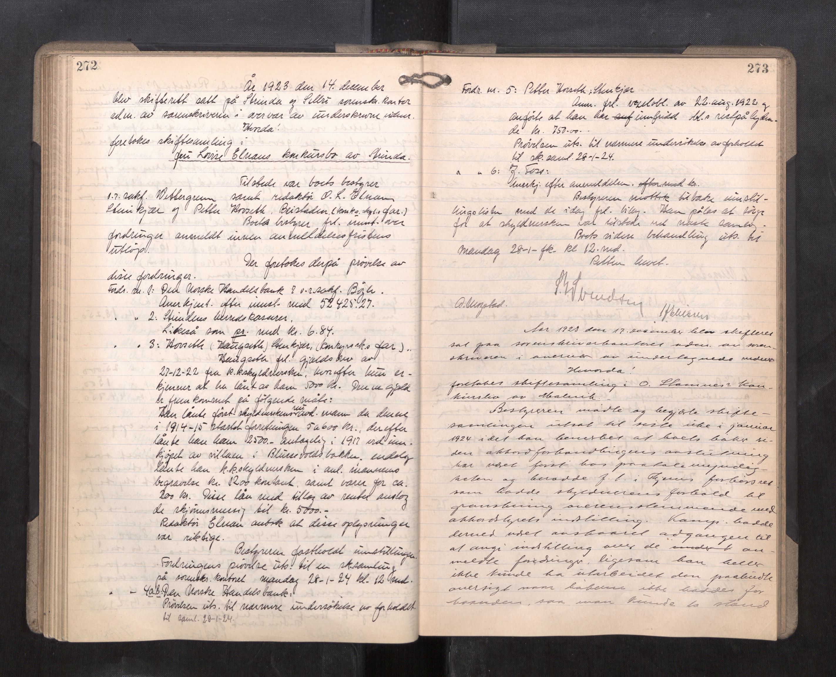 Strinda og Selbu sorenskriveri, AV/SAT-A-0015/3/3B/L0014: Skifteforhandlingsprot. 14, 1922-1924, p. 272-273