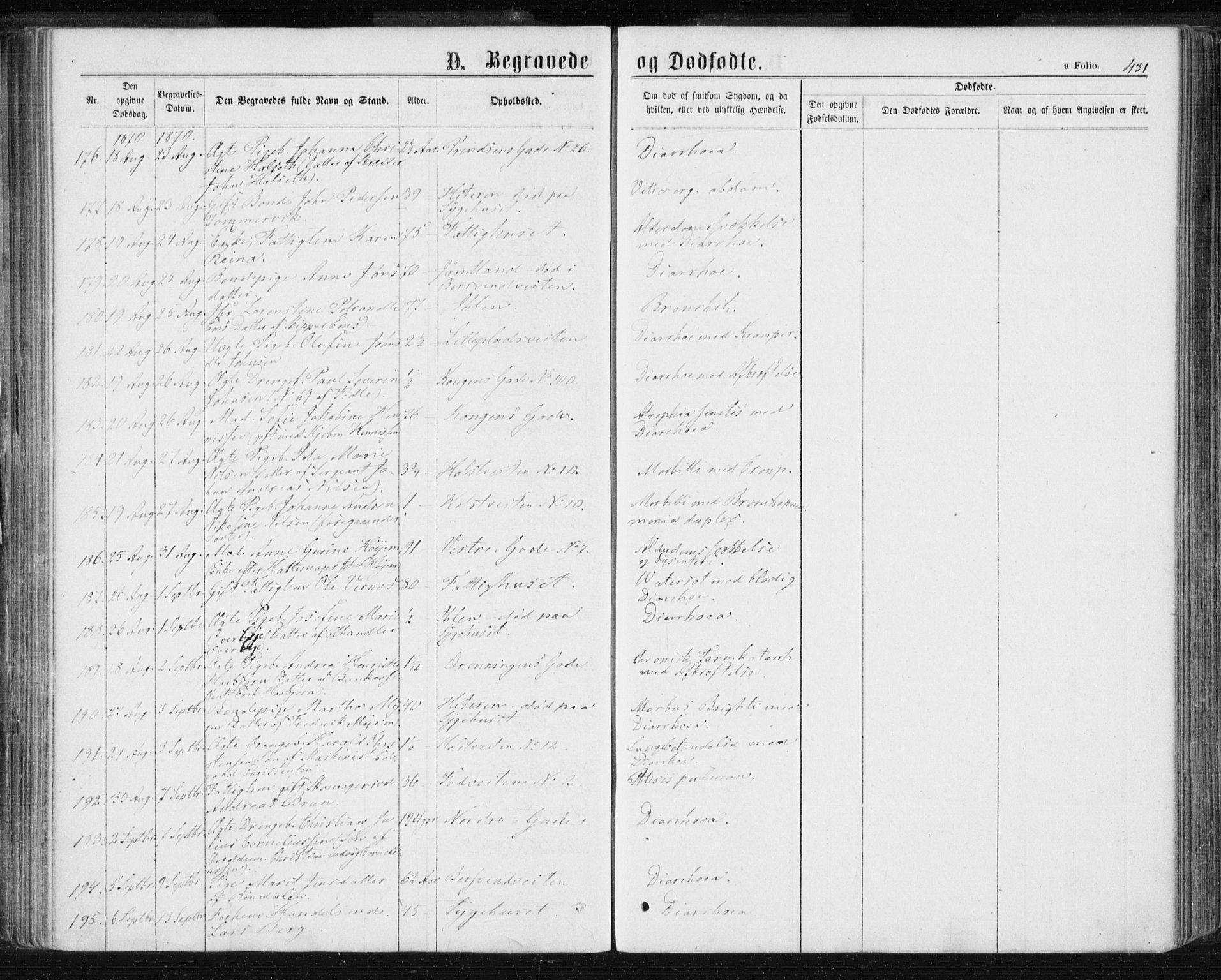 Ministerialprotokoller, klokkerbøker og fødselsregistre - Sør-Trøndelag, AV/SAT-A-1456/601/L0055: Parish register (official) no. 601A23, 1866-1877, p. 431