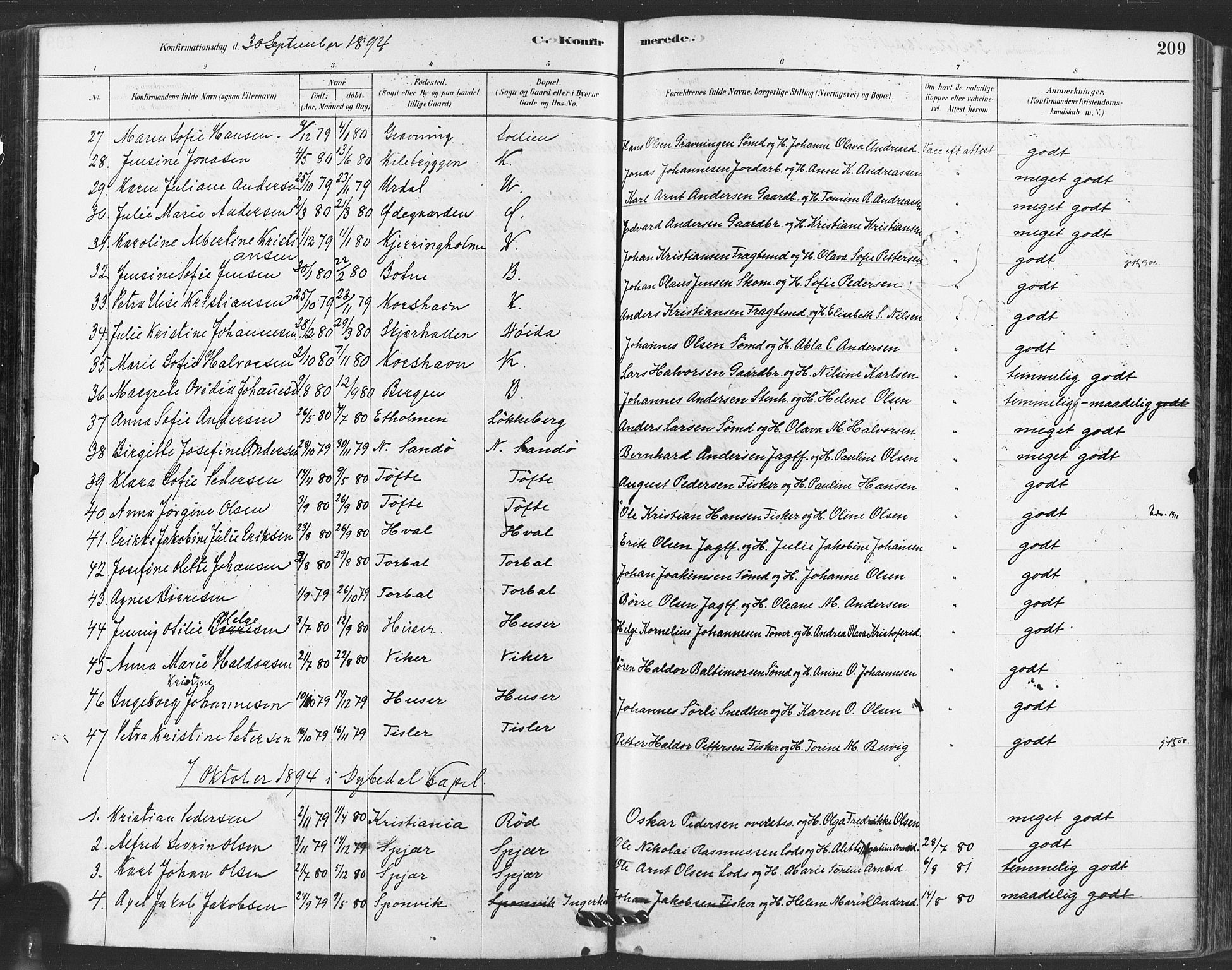 Hvaler prestekontor Kirkebøker, AV/SAO-A-2001/F/Fa/L0008: Parish register (official) no. I 8, 1878-1895, p. 209