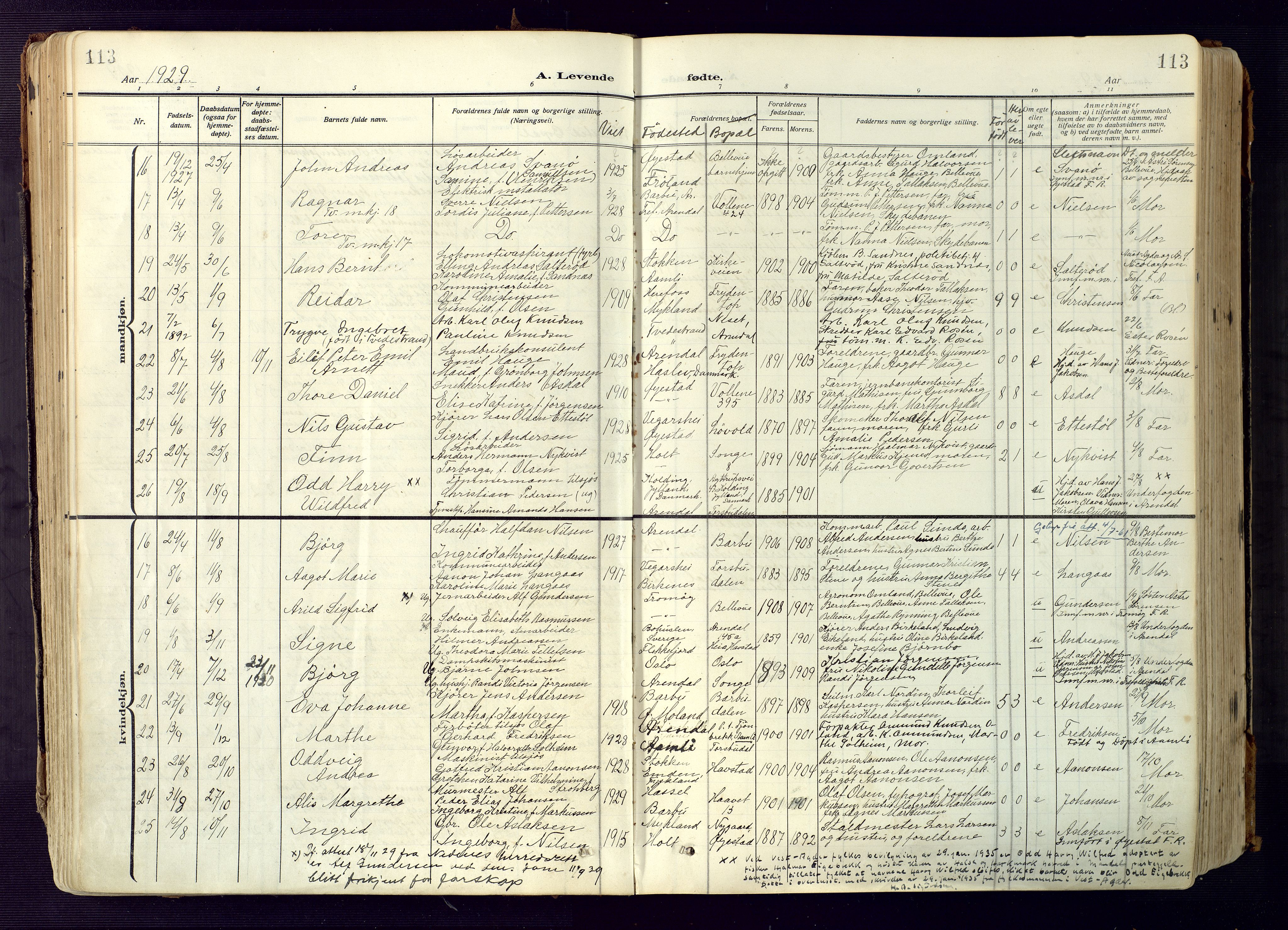 Barbu sokneprestkontor, AV/SAK-1111-0003/F/Fa/L0006: Parish register (official) no. A 6, 1910-1929, p. 113