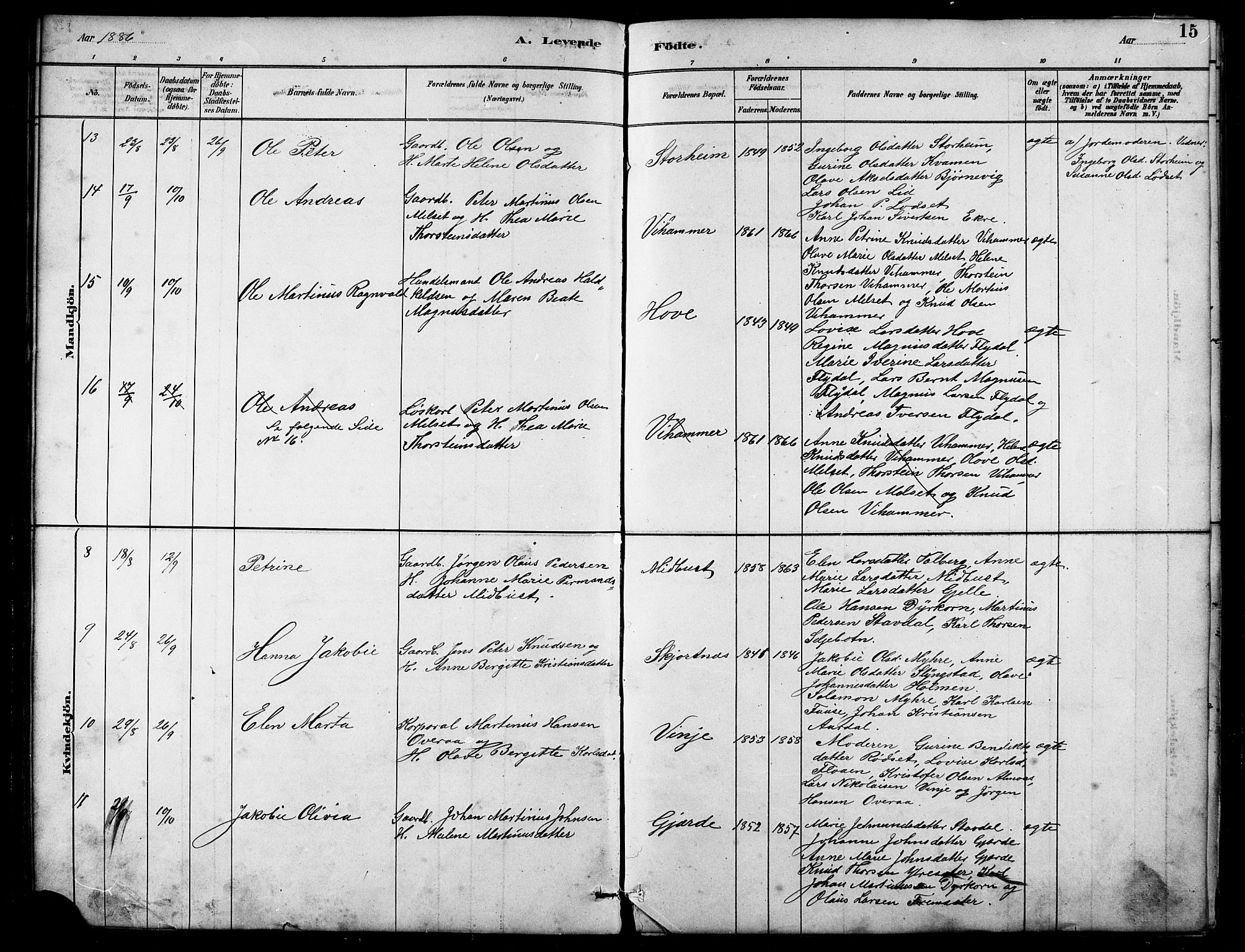 Ministerialprotokoller, klokkerbøker og fødselsregistre - Møre og Romsdal, SAT/A-1454/521/L0302: Parish register (copy) no. 521C03, 1882-1907, p. 15